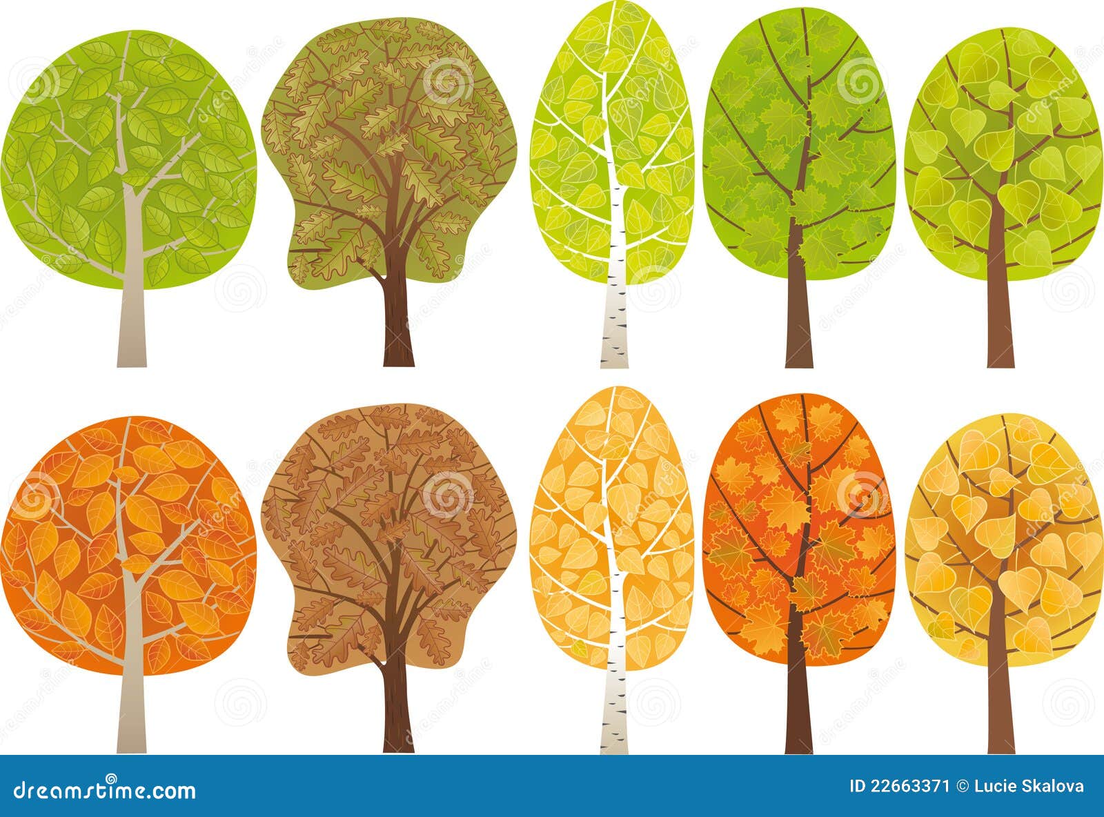 Conjunto De árboles Frondosos Ilustración del Vector - Ilustración de  frondoso, brillante: 22663371