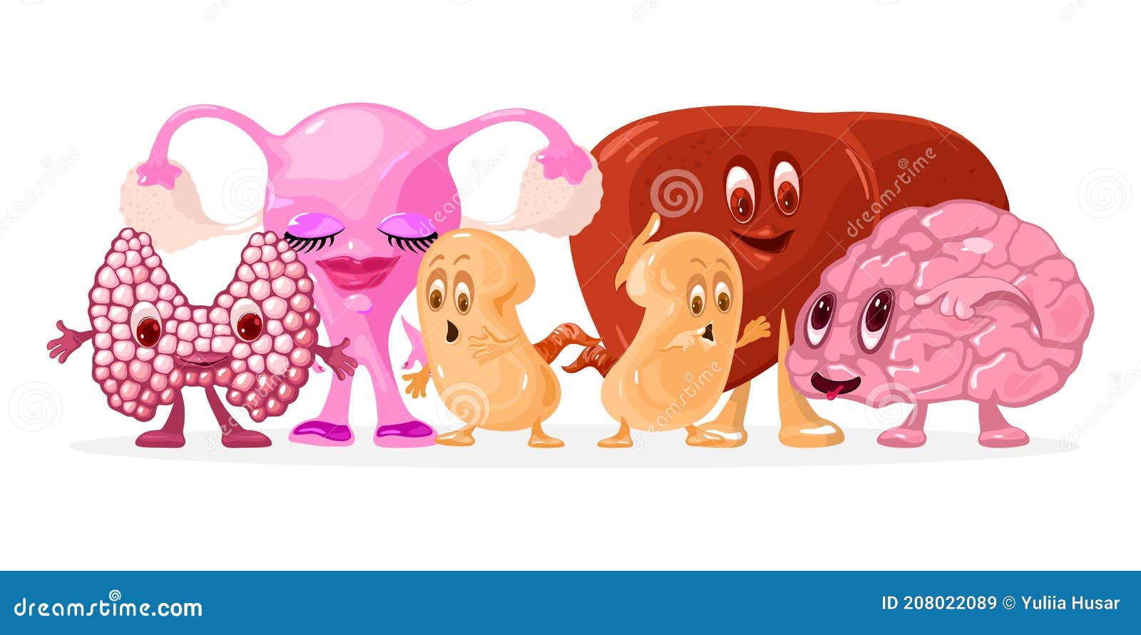 Conjunto De órganos Del Cuerpo Humano De Dibujos Animados Ilustración del  Vector - Ilustración de conjunto, aislado: 208022089