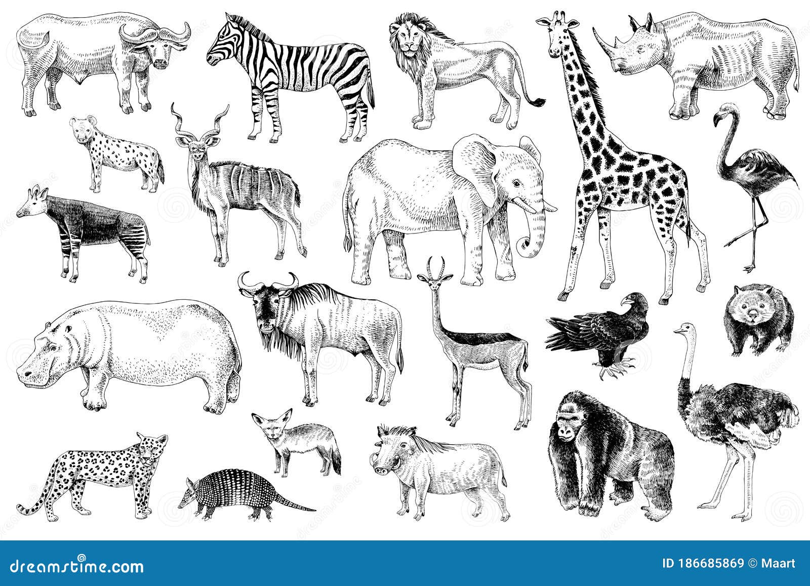 Conjunto De Animales De La Sabana Ilustración del Vector - Ilustración de cebra, salvaje: 186685869 Conjunto De Animales De La Sabana Ilustración del Vector - Ilustración de cebra, salvaje: 186685869