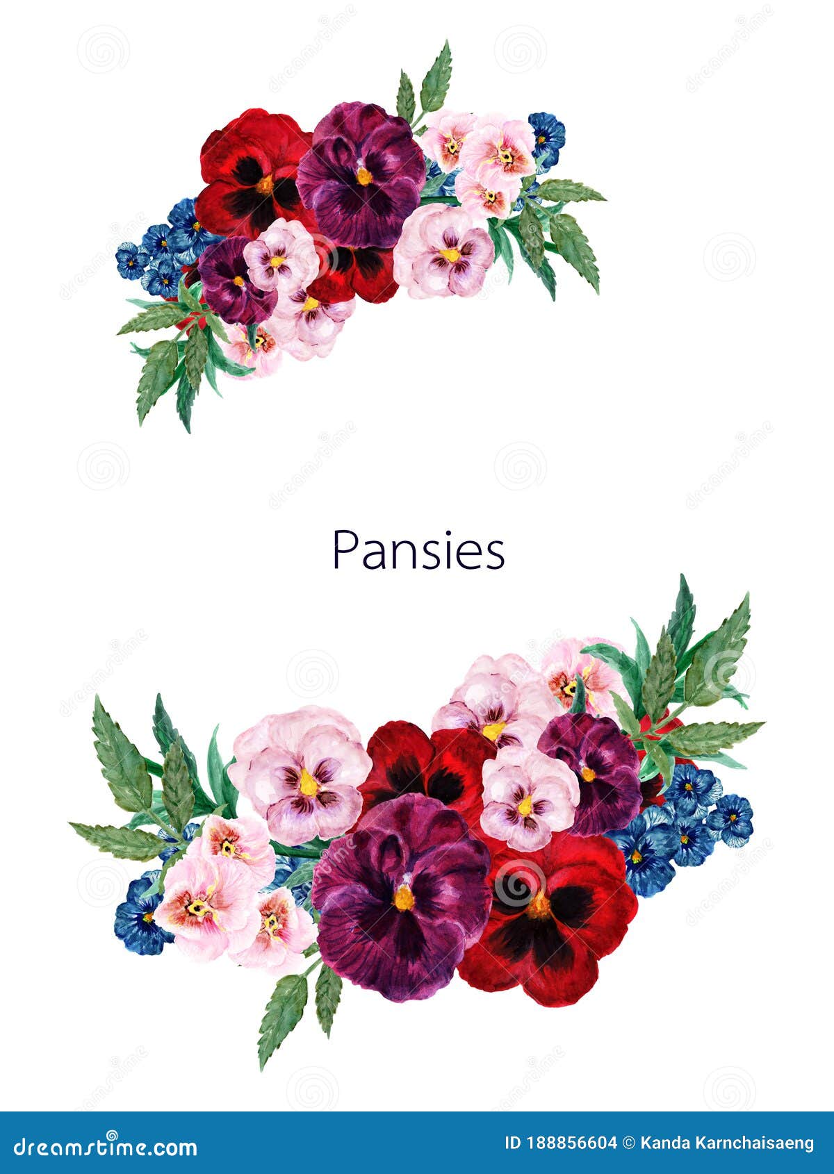 Conjunto De Aquarelas De Marsala Vermelha Rosa Azul-rosa Flores Pansy  Folhas De Ilustração Botânica E Botões Para O Quadro De Fron Ilustração  Stock - Ilustração de planta, amor: 188856604