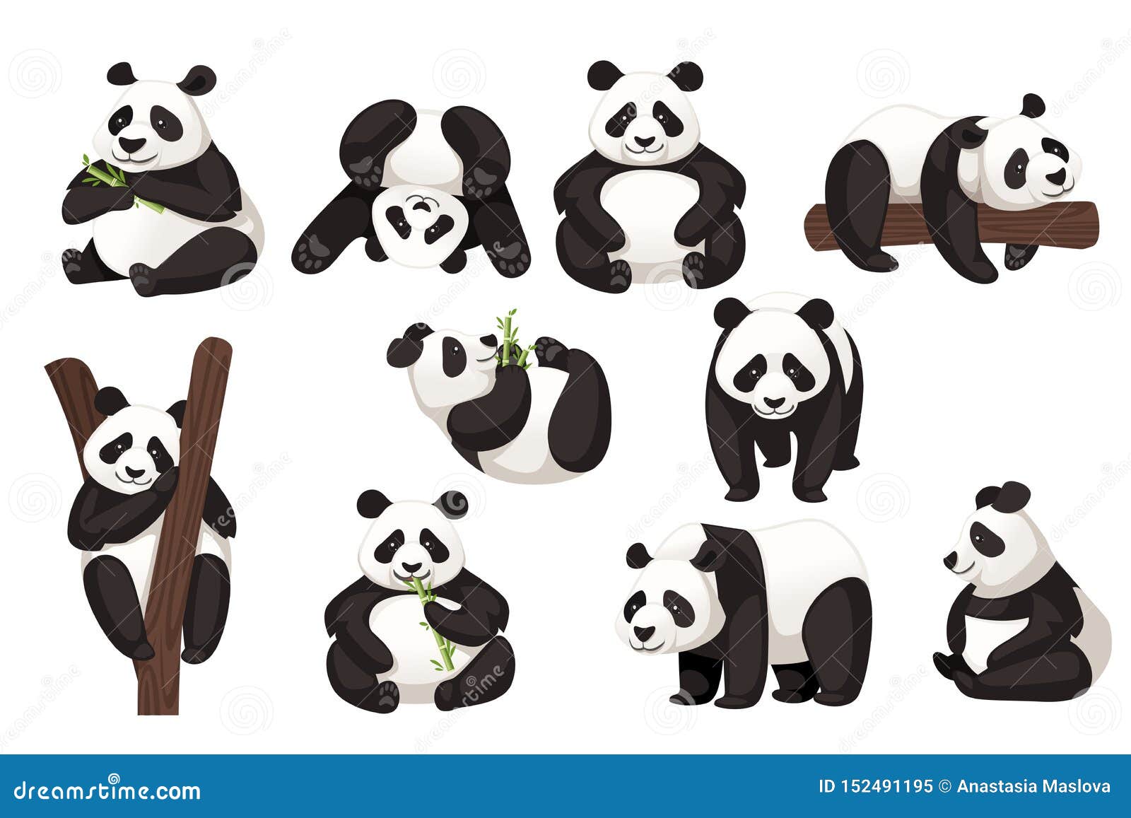 Conjunto De Bonitos Pandas Grandes En Diferentes Poses Dibujos Animados  Diseño Animal Ilustración Vectorial Plana Stock de ilustración -  Ilustración de historieta, resto: 152491195