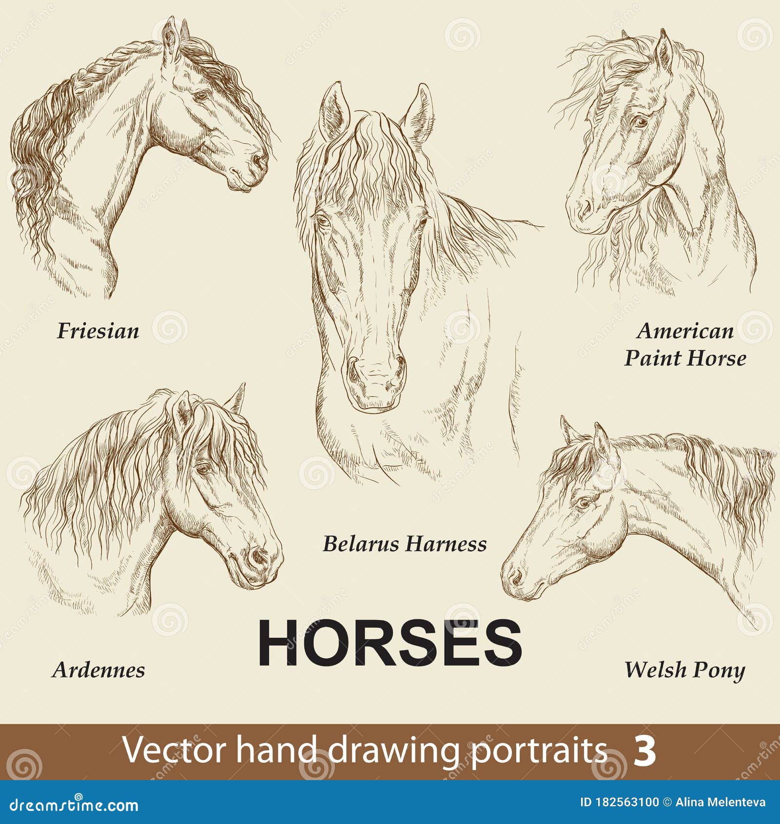 Conjunto De Caballos Dibujantes a Mano 3 Ilustración del Vector -  Ilustración de granja, mustango: 182563100