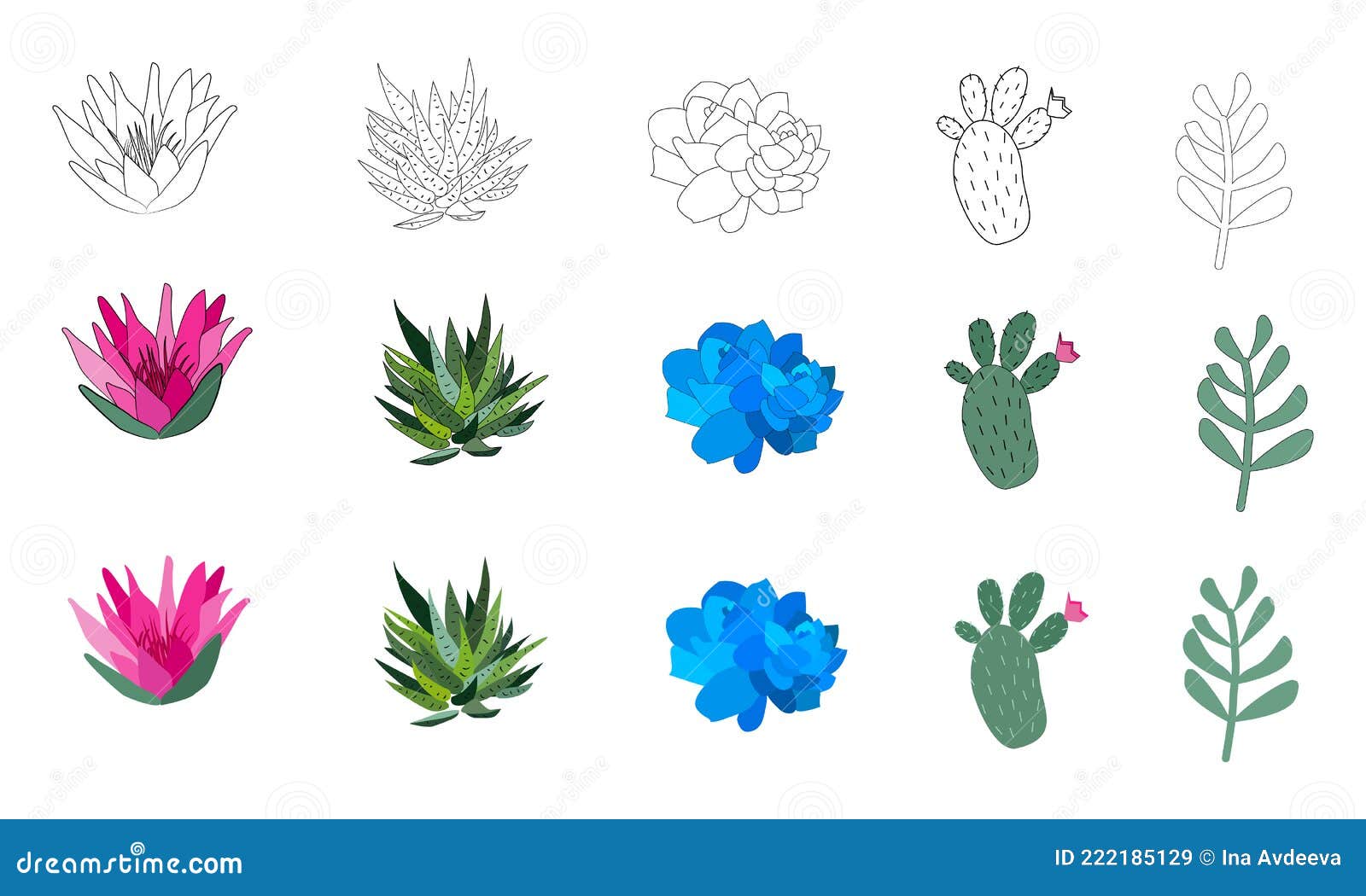 Conjunto De Plantas De Cactos Desenhadas À Mão Em Um Estilo De