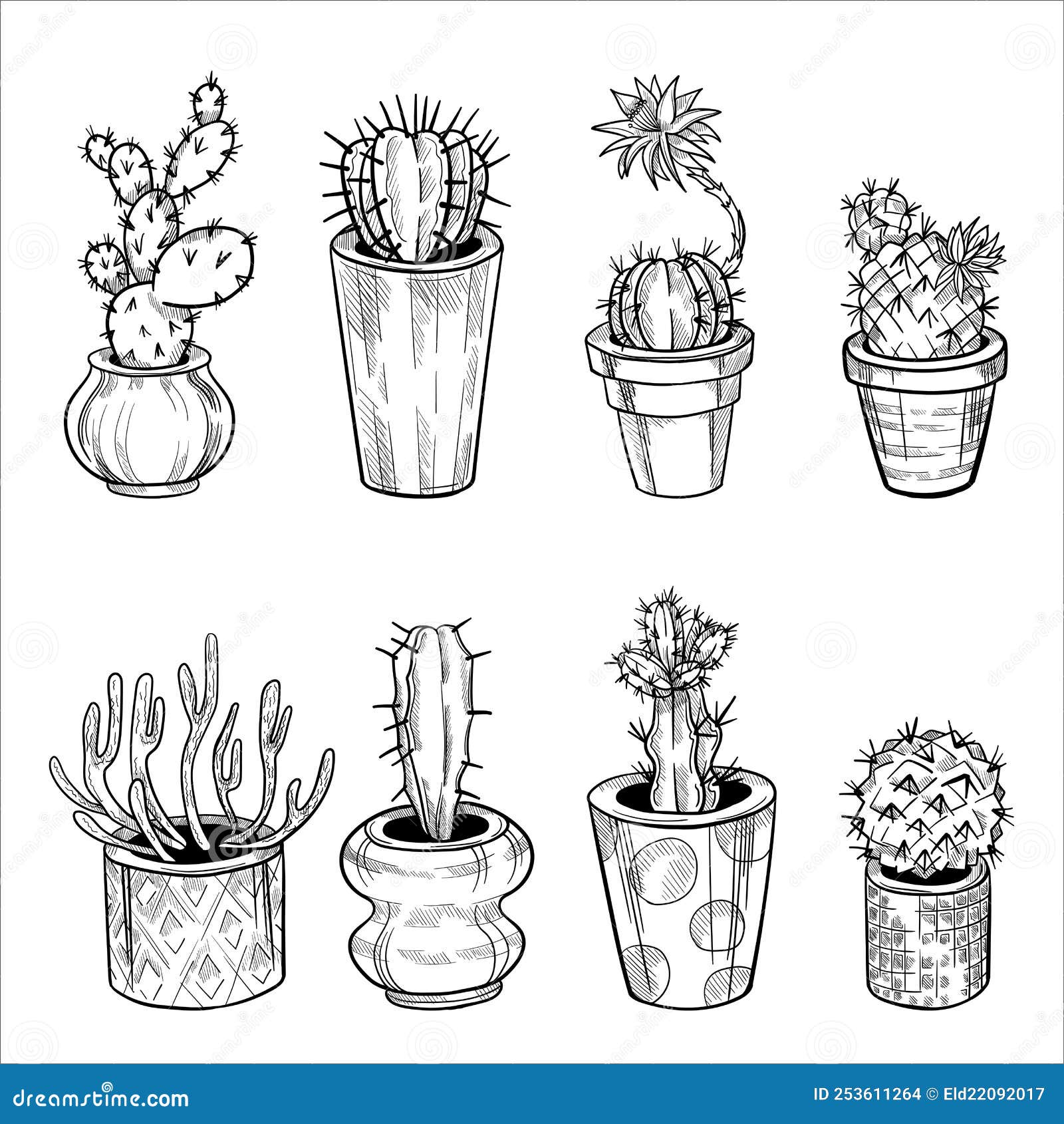 Conjunto De Cactos Em Bolbos De Flores. Desenho Desenhado à Mão Isolado Em  Branco Ilustração Stock - Ilustração de isolado, plantas: 253611264