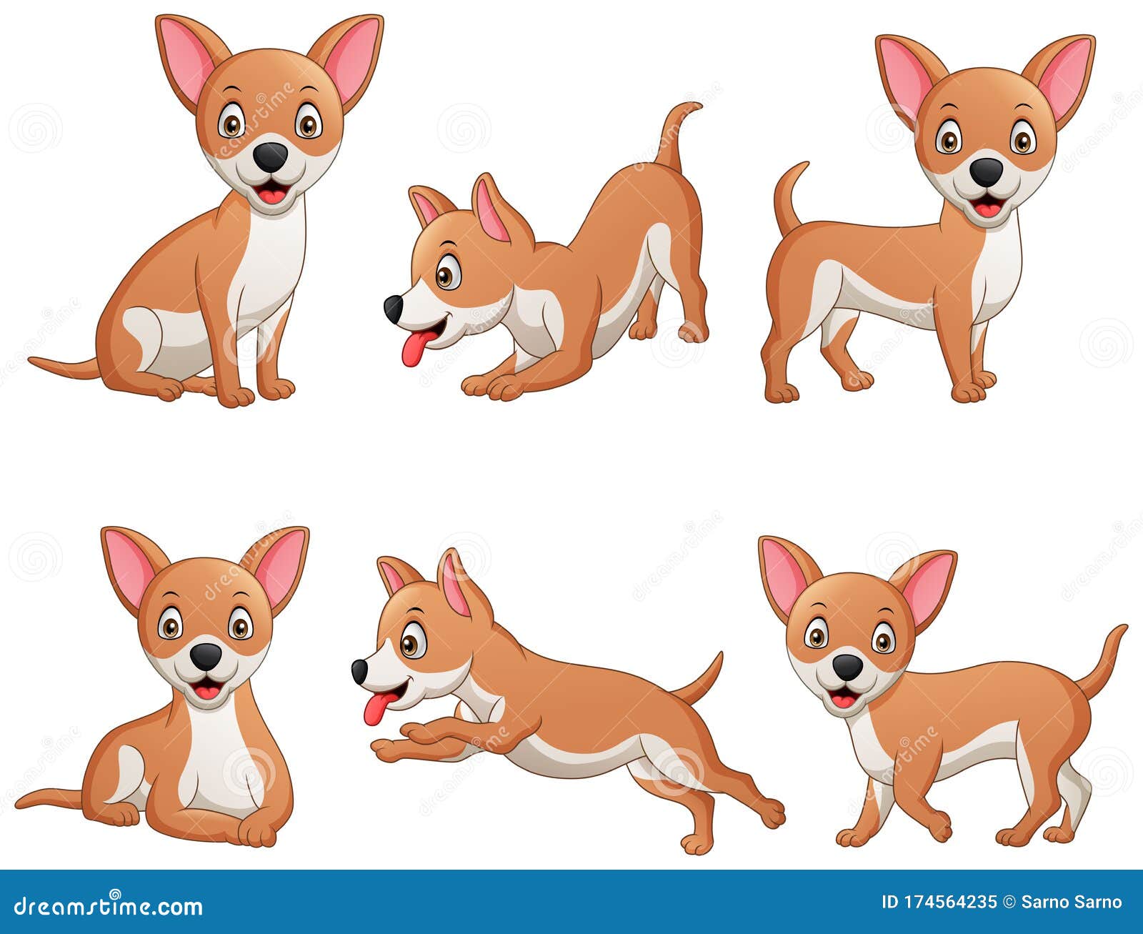 Conjunto De Chihuahua Divertido Perro De Dibujos Animados Ilustración del  Vector - Ilustración de cuadro, animal: 174564235
