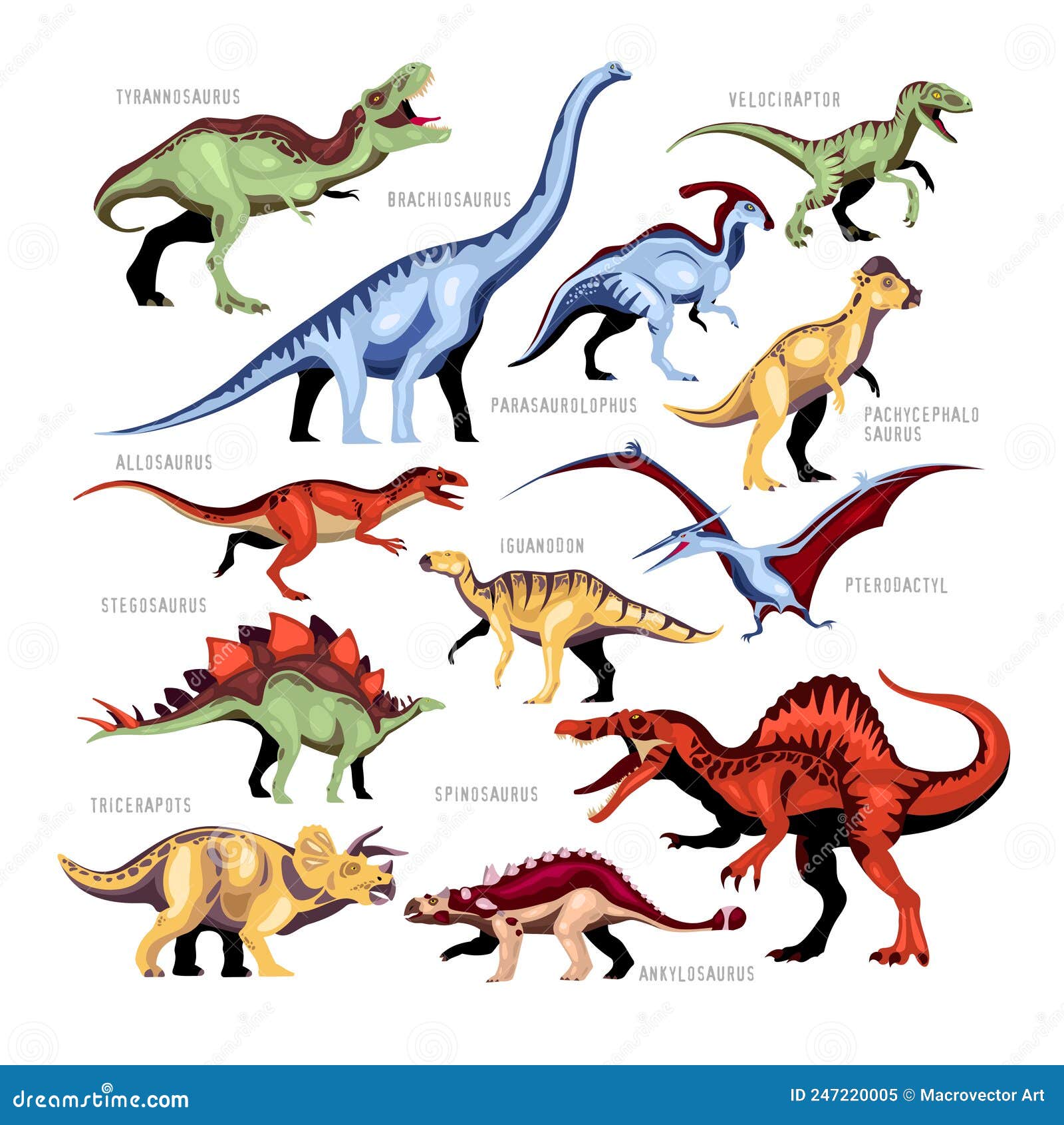 Conjunto de desenhos animados de dinossauros com nomes vetor(es) de stock  de ©macrovector 454621906