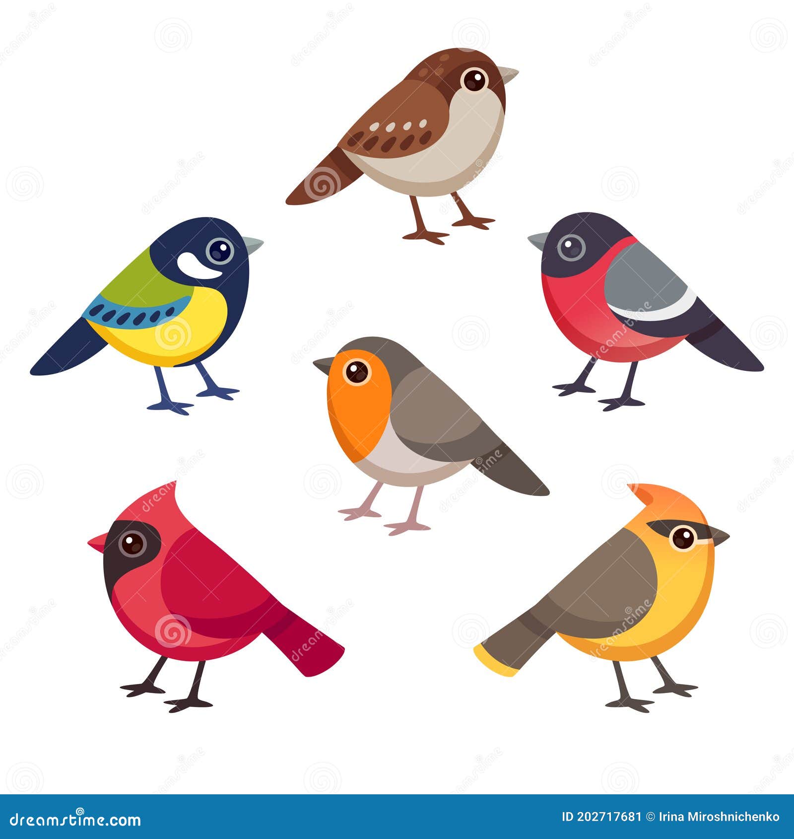 Conjunto De Dibujos Animados De Aves Pequeñas Ilustración del Vector - Ilustración de carbonero, grande: 202717681 Conjunto De Dibujos Animados De Aves Pequeñas Ilustración del Vector - Ilustración de carbonero, grande: 202717681