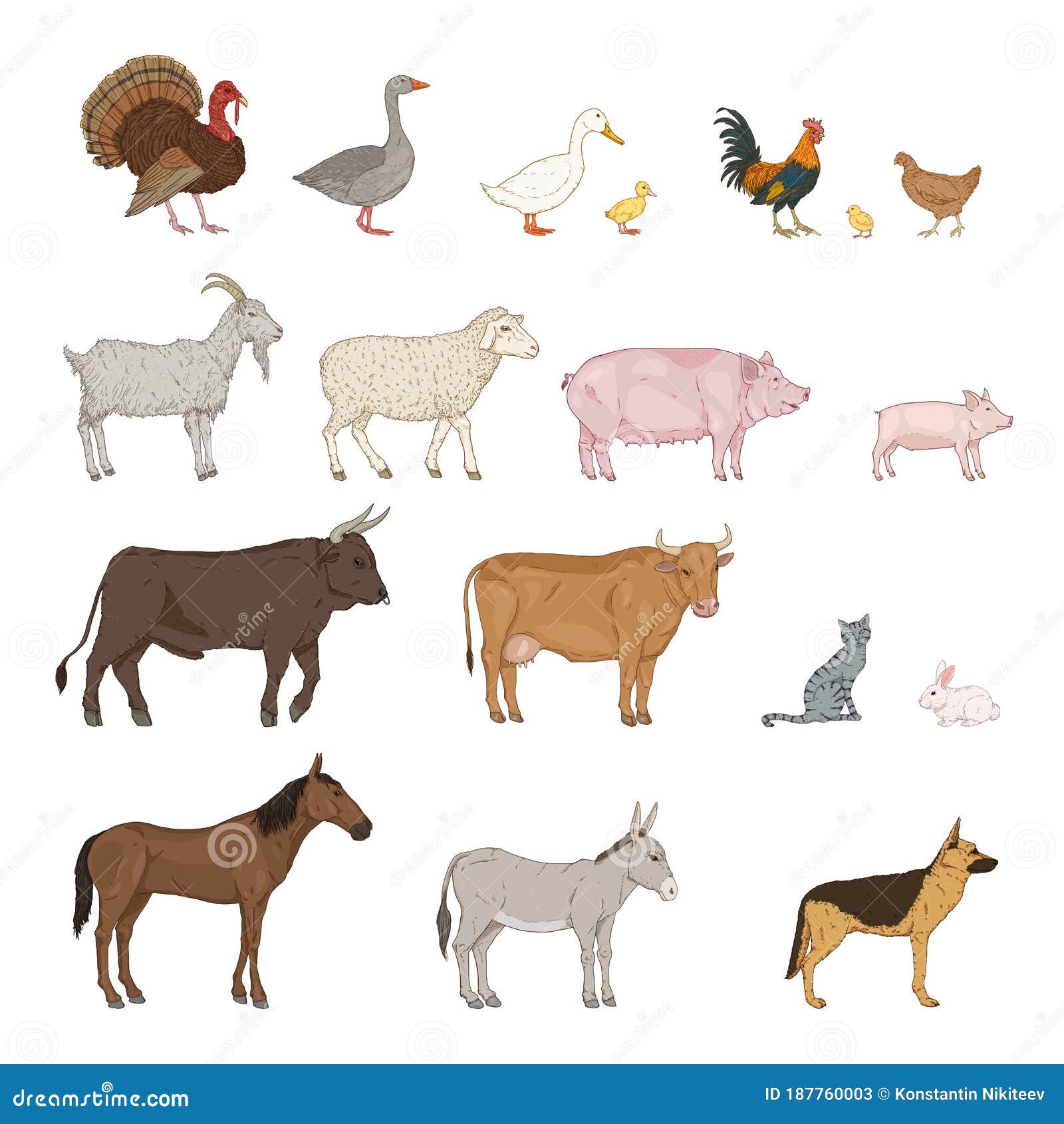 Conjunto De Dibujos Animados Vectores De Animales De Granja Ilustración del  Vector - Ilustración de iconos, color: 187760003