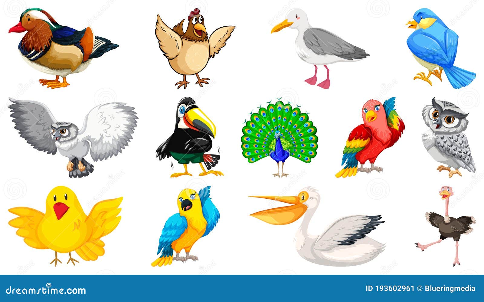 Conjunto De Diferentes Dibujos Animados De Aves Aislados En Fondo Blanco  Ilustración del Vector - Ilustración de vivo, mosca: 193602961