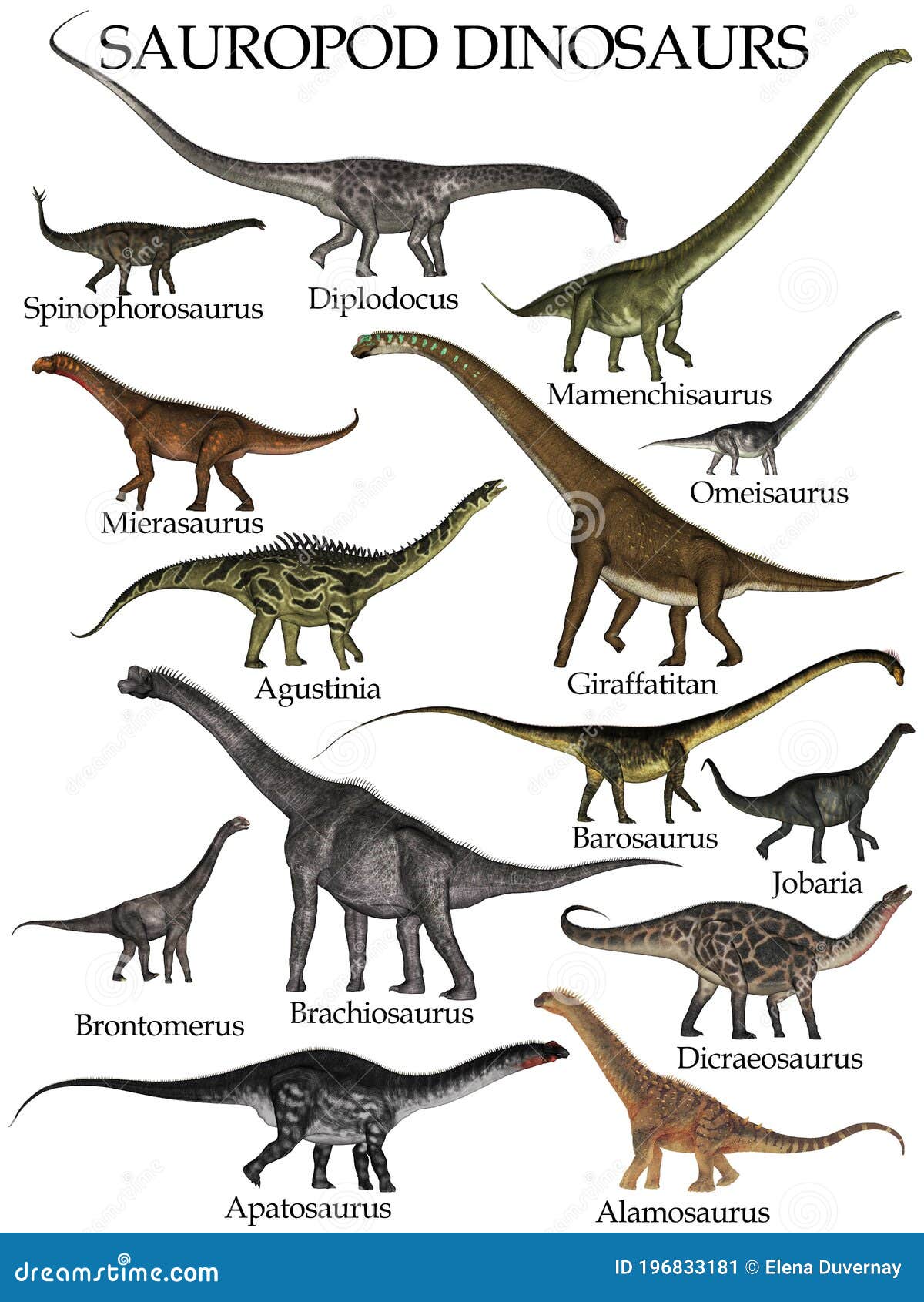 Conjunto De Dinosaurios De Sauropod - Presentación 3D Stock de ilustración  - Ilustración de dinosaurio, conjunto: 196833181