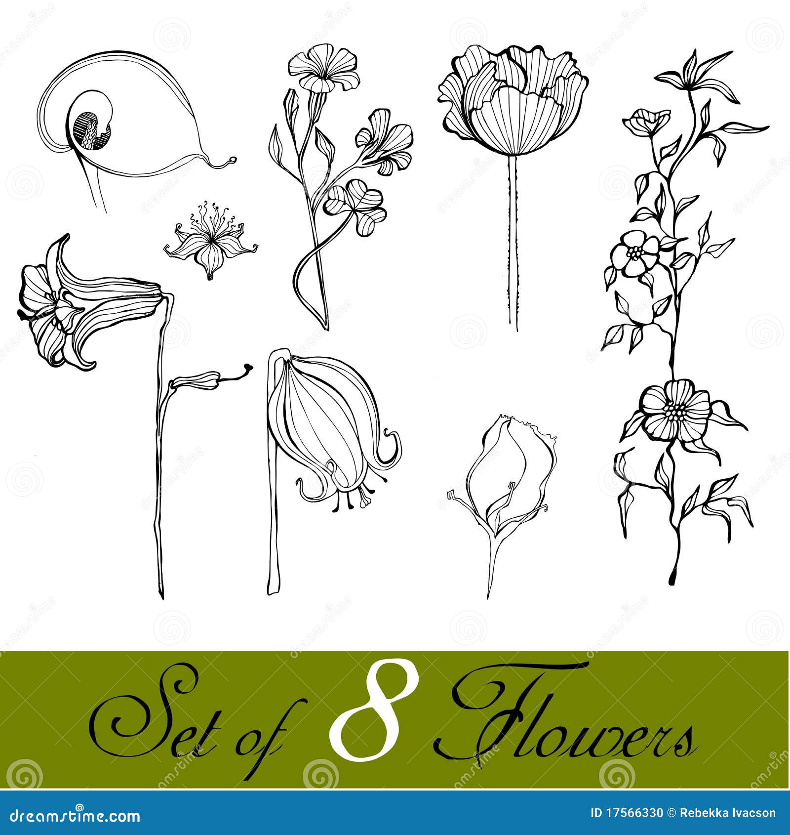 Conjunto De Flores Lindas Ilustradas Ilustración del Vector - Ilustración de ilustrado, verano: 17566330 Conjunto De Flores Lindas Ilustradas Ilustración del Vector - Ilustración de ilustrado, verano: 17566330