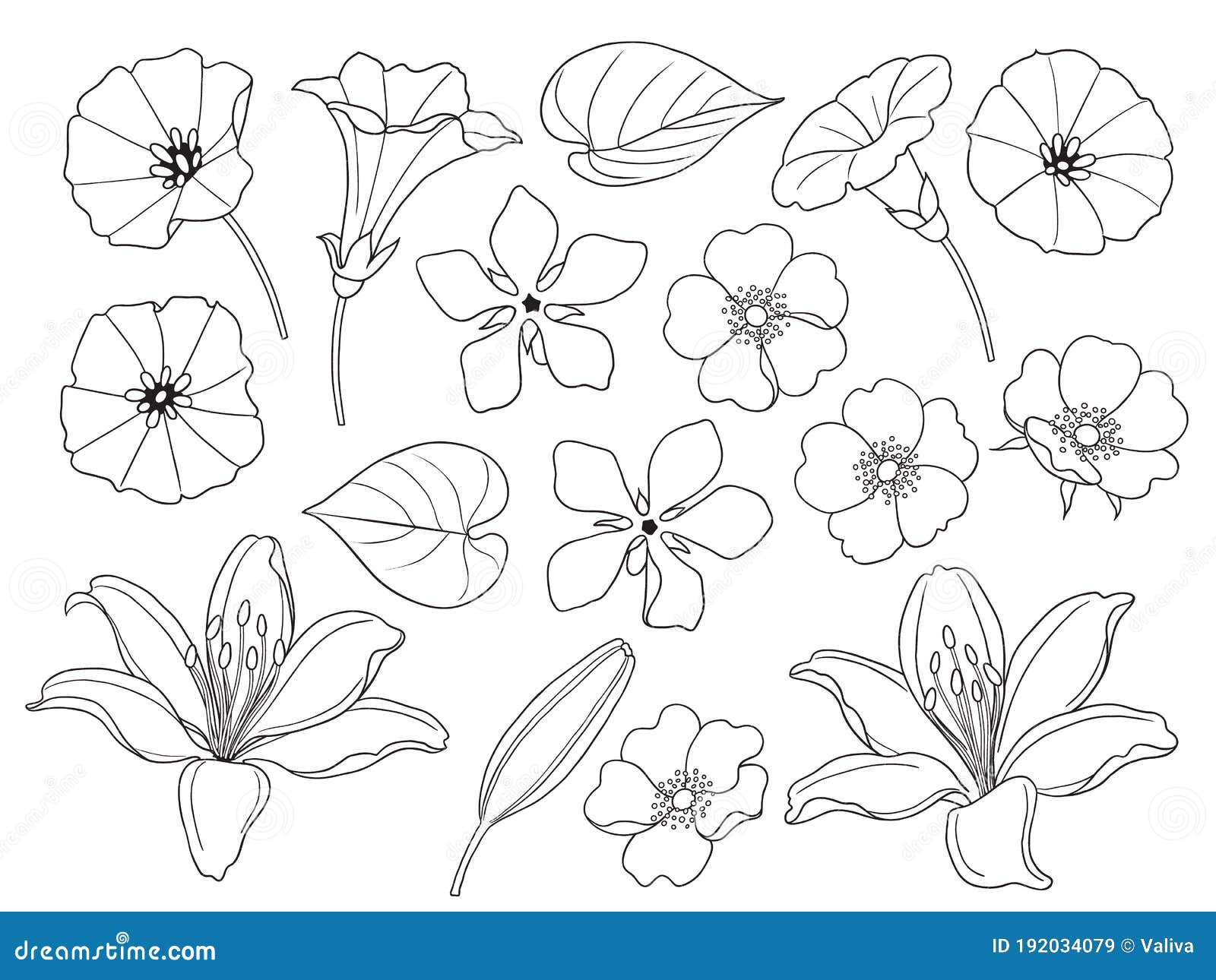 Conjunto De Flores Sencillas Y Diferentes Ilustración del Vector - Ilustración de hojas, mano: 192034079 Conjunto De Flores Sencillas Y Diferentes Ilustración del Vector - Ilustración de hojas, mano: 192034079