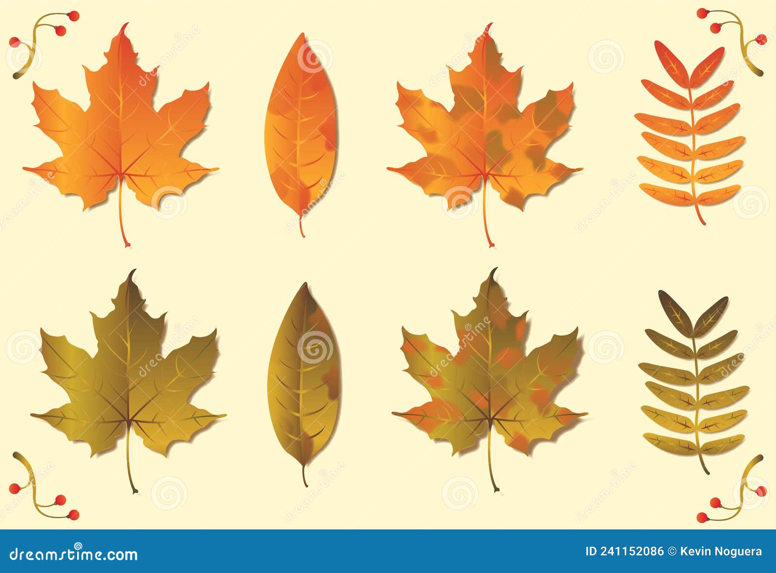 conjunto de folhas de outono. ilustraÃÂ§ÃÂ£o vetorial