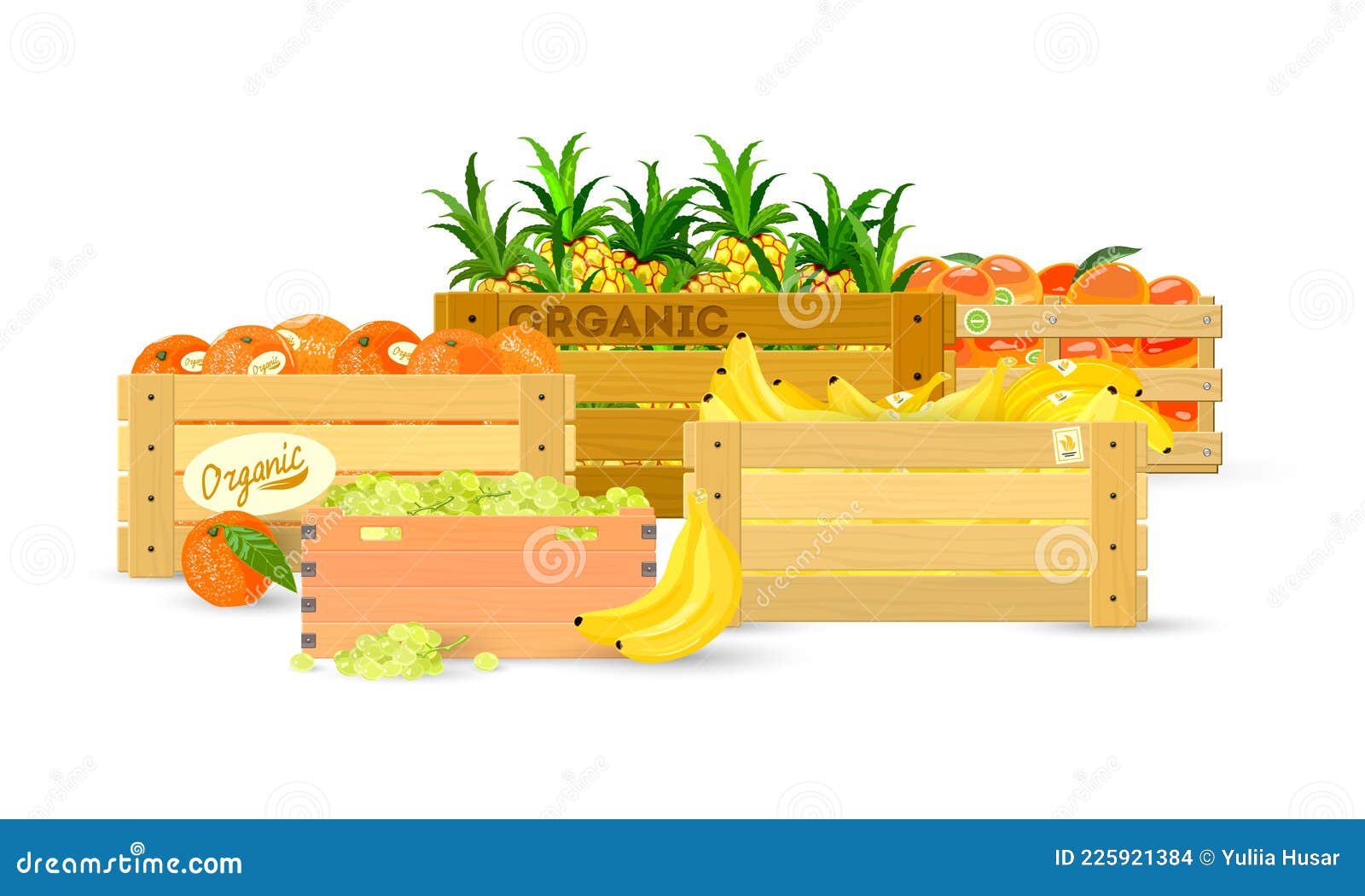 Conjunto De Frutas De Verano En Caja Ilustración del Vector - Ilustración  de tropical, verano: 225921384