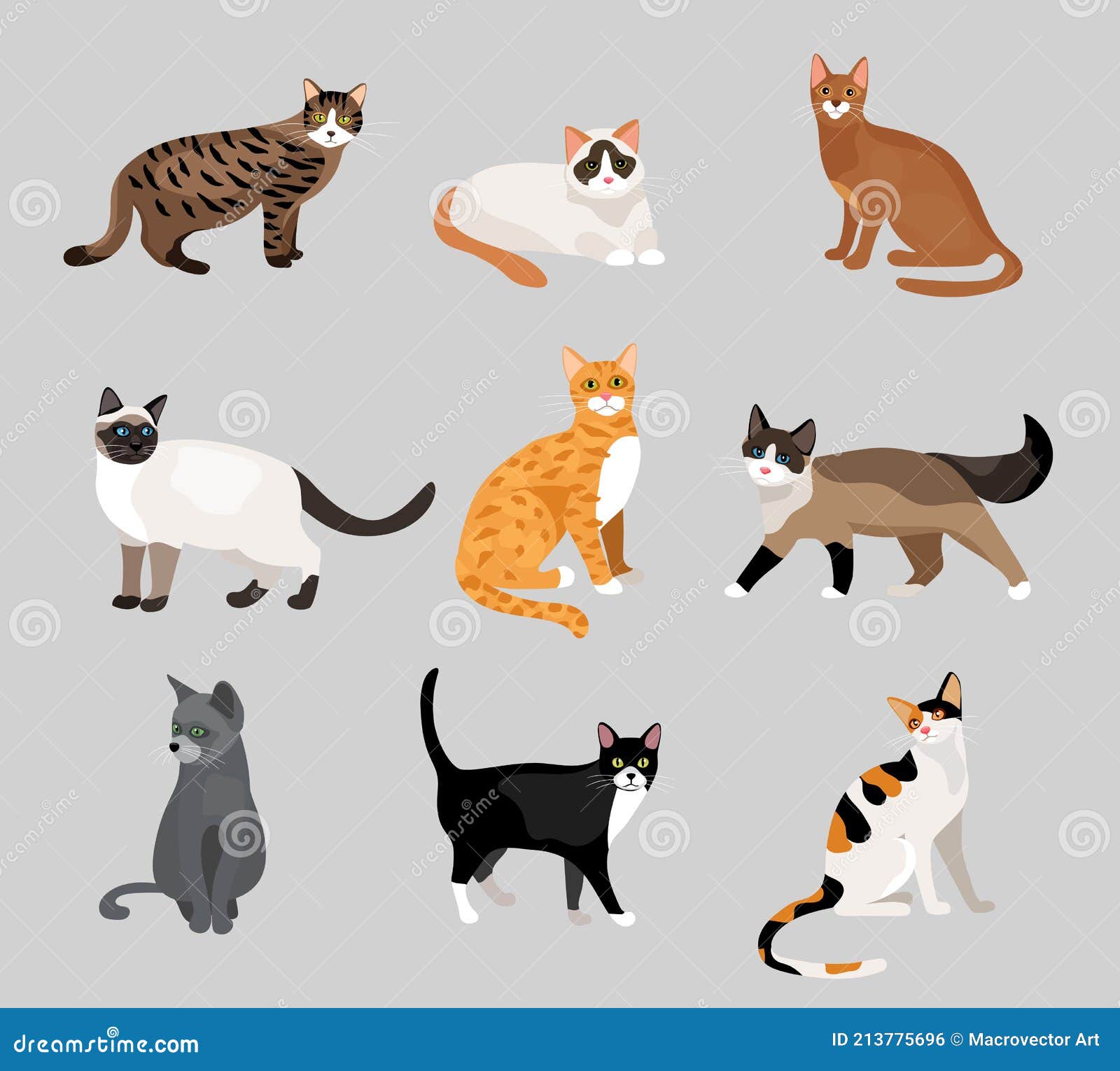 Conjunto De Gatitos De Dibujos Animados Lindos O Gatos Ilustración del Vector - Ilustración de castas, doméstico: 213775696 Conjunto De Gatitos De Dibujos Animados Lindos O Gatos Ilustración del Vector - Ilustración de castas, doméstico: 213775696
