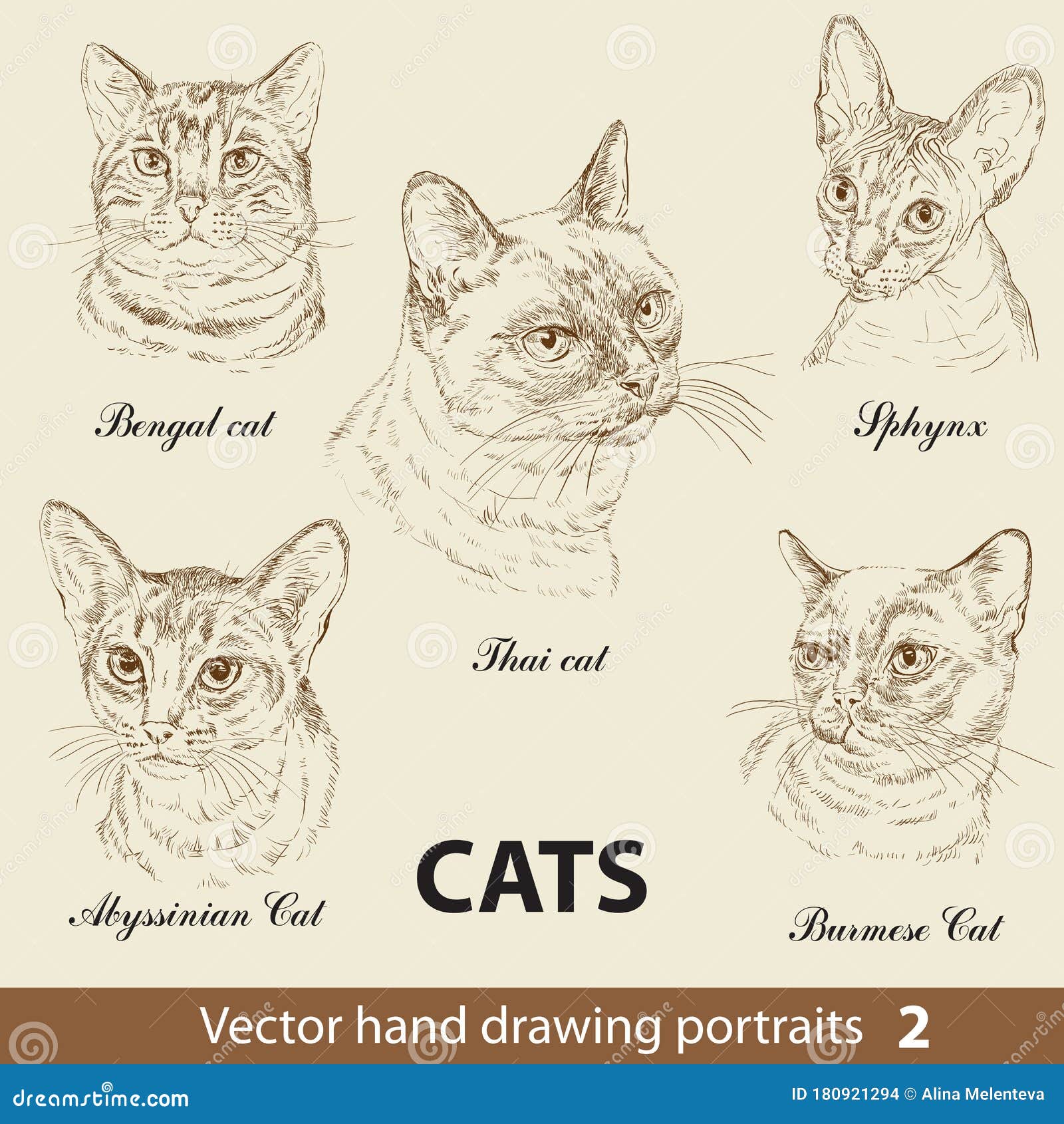 8 melhor ideia de Desenho de gato fácil  arte com gatos, desenhos de gatos,  gatos