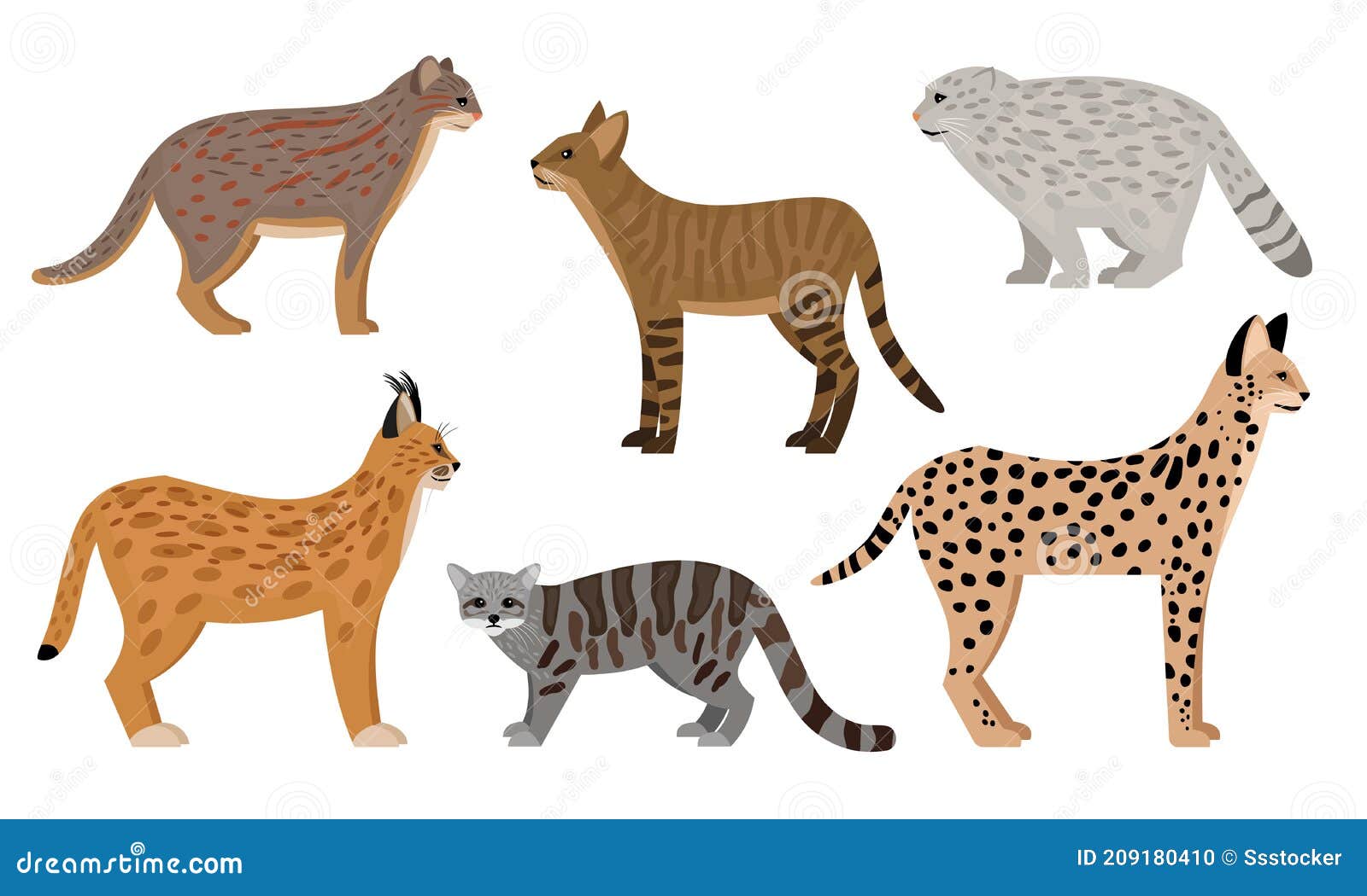 Gato Gatinho Desenho, Gato, mamífero, animais, gato Como mamífero