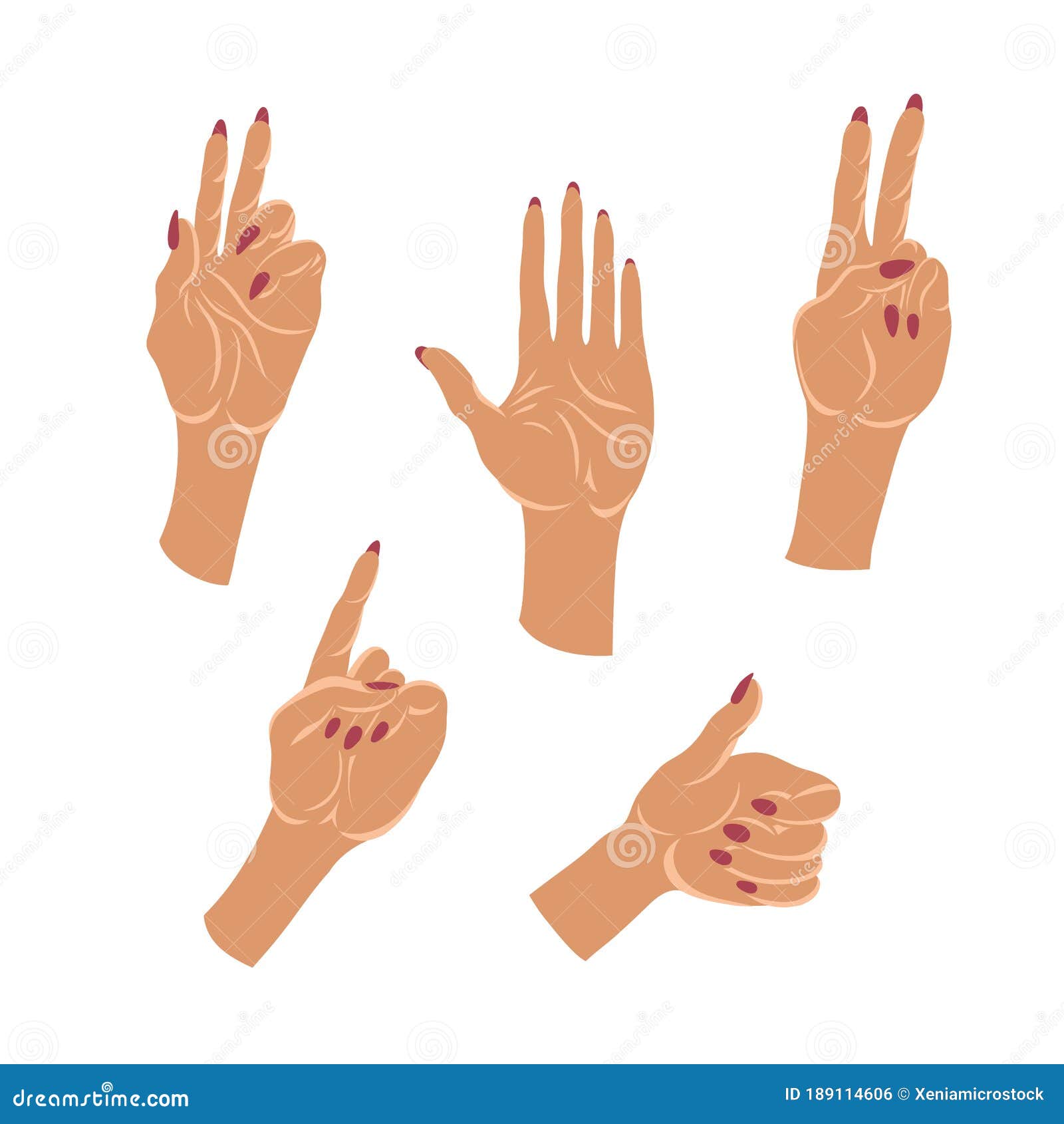 Comunicación con gestos y señas 