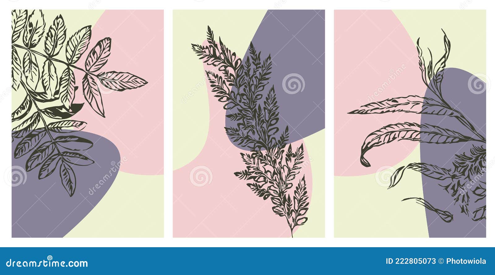 Conjunto De 3 Ilustraciones Botánicas Minimalistas Imprimibles. Diseño De  Folletos Para Portadas De Postales. Ilustración del Vector - Ilustración de  mano, floral: 222805073