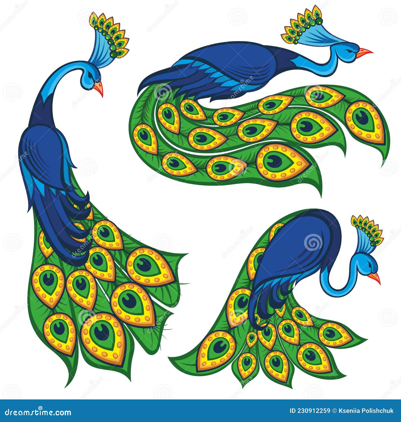 Conjunto De Ilustraciones Con Aves De Pavo Real Vectorial. Ilustración  Vectorial Ilustración del Vector - Ilustración de peacock, animal: 230912259