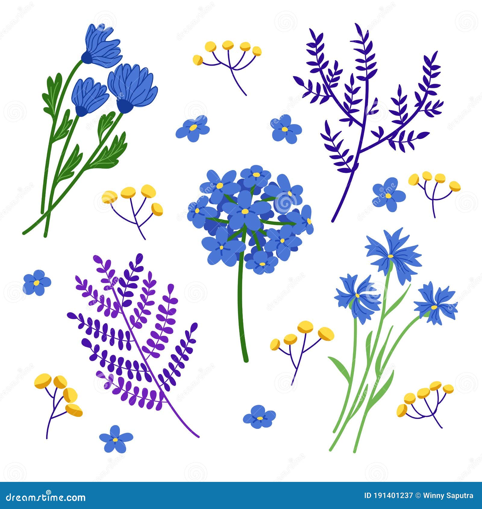 Conjunto De Imágenes Prediseñadas De Flores Silvestres Azules Y Hojas.  Ilustración del Vector - Ilustración de elementos, modelo: 191401237