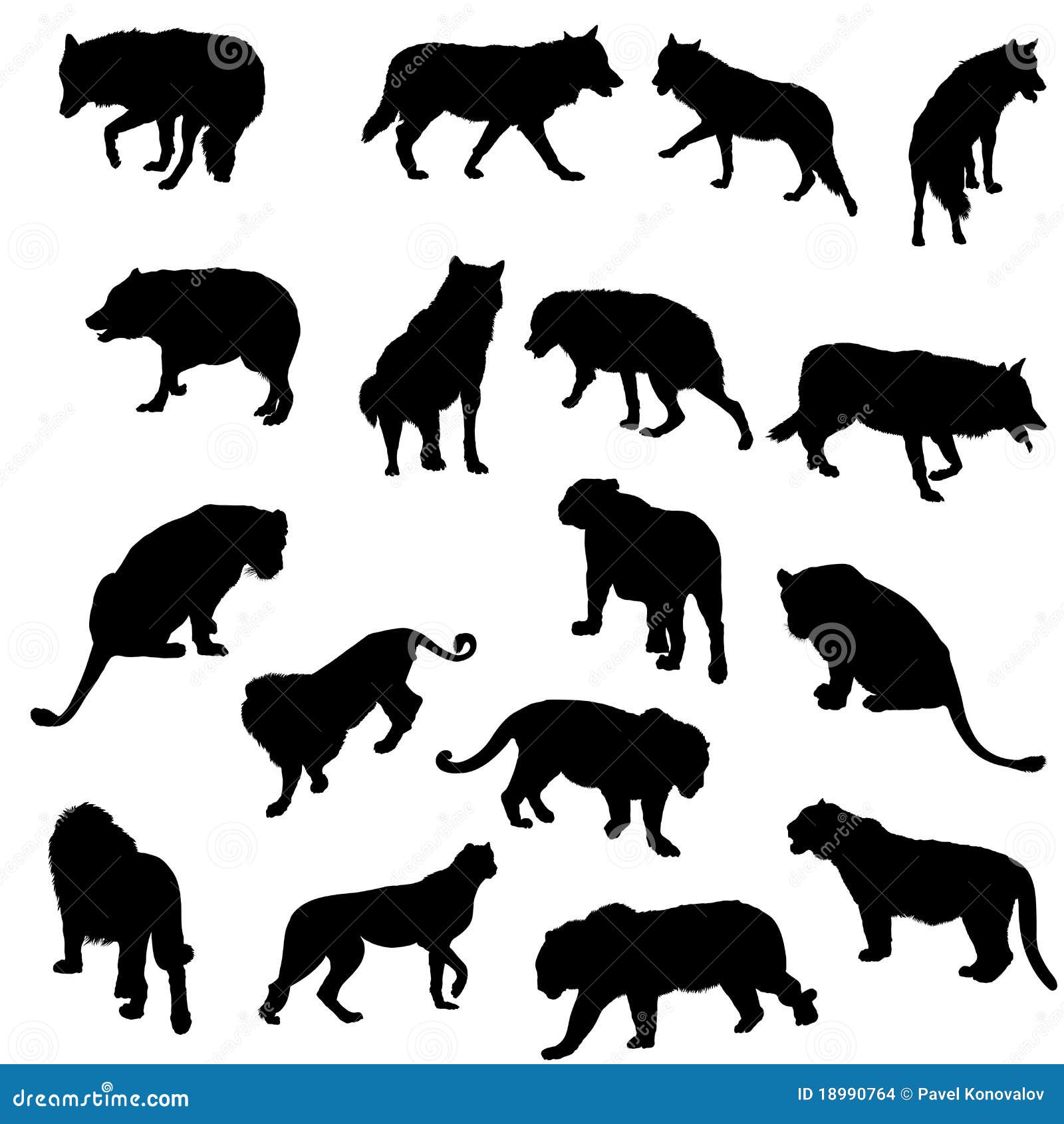 Conjunto De Lobos, De Tigres, De Leopardos Y De Leones Ilustración del  Vector - Ilustración de guepardo, icono: 18990764