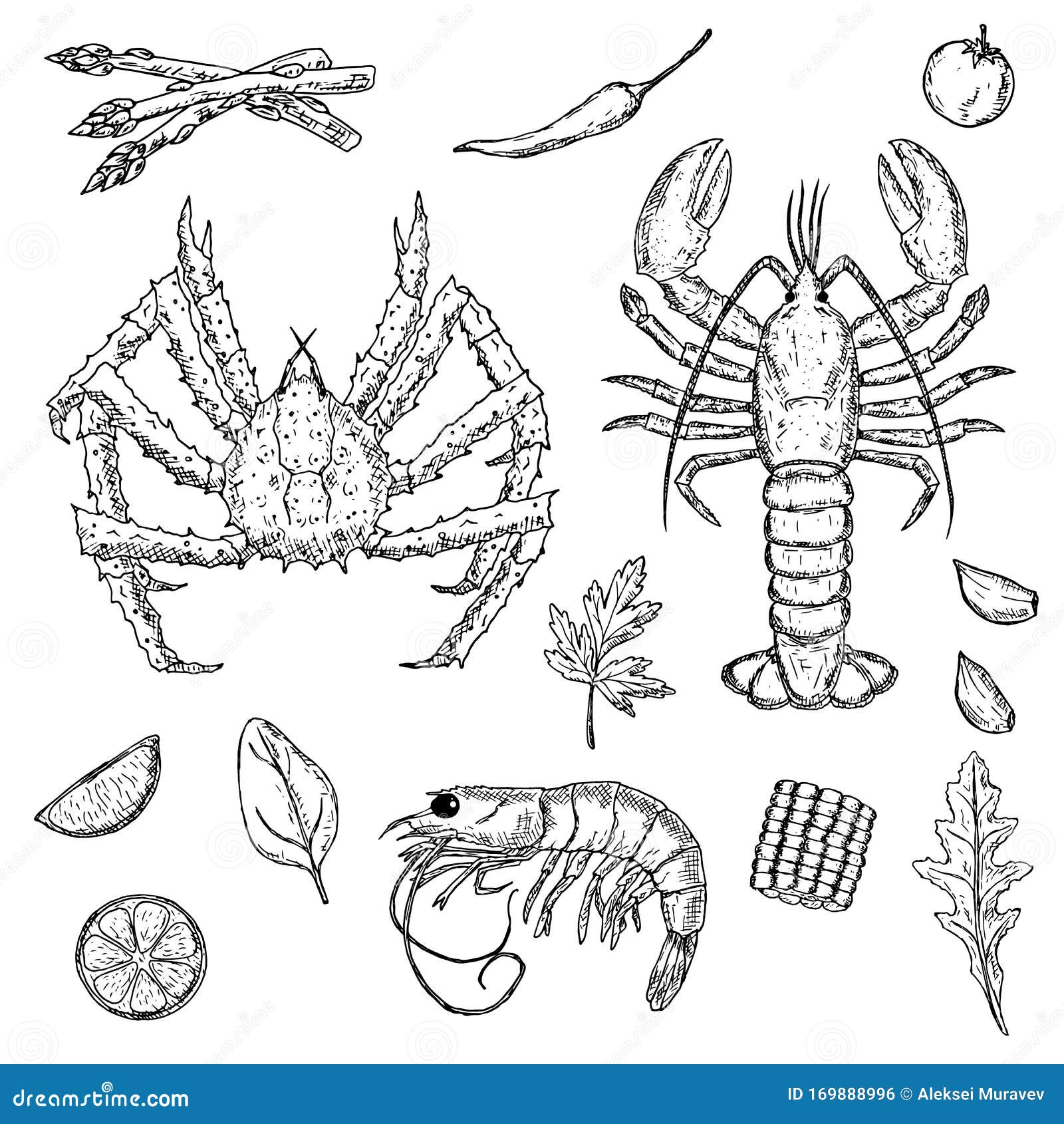 Conjunto De Mariscos Hechos a Mano Crustáceos Ilustraciones De Dibujos  Animados Objetos Aislados En Un Fondo Blanco Stock de ilustración -  Ilustración de animal, cangrejos: 169888996
