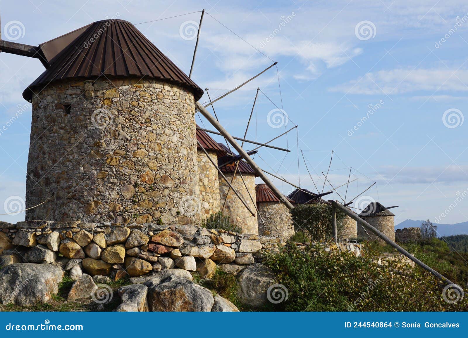 Antigo moinho de vento em osso e base de madeira maciça 12cm×9cm ,altu  Portimão • OLX Portugal