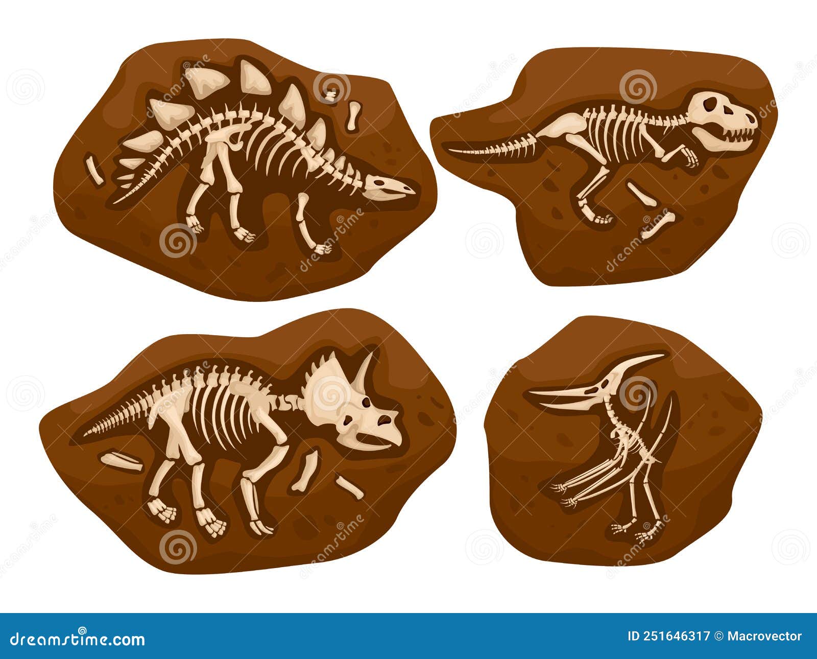 Esqueleto Dino Desenhos Animados Ossos Fósseis Dinossauros Antigos