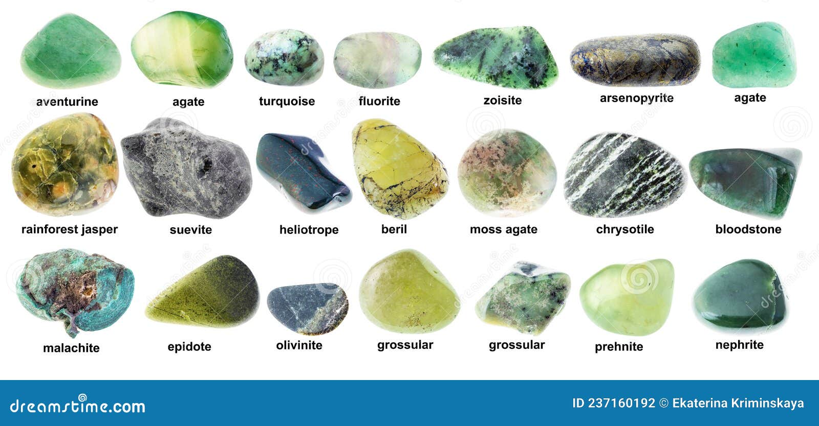 Hueso tarjeta Cadera Conjunto De Varios Minerales Verdes Con Nombres Foto de archivo - Imagen de  espécimen, piedra: 237160192