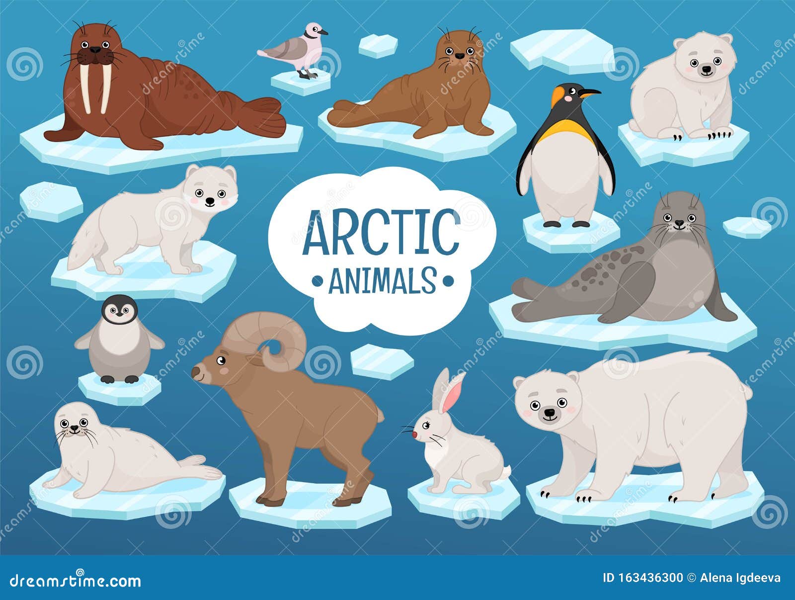 conjunto de lindos animales polares salvajes. colección de fauna del  ártico. lindos personajes de dibujos animados aislados sobre fondo blanco  7658715 Vector en Vecteezy