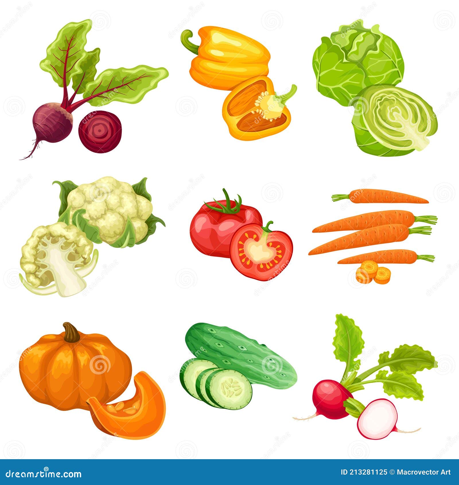 Conjunto De Vegetales Orgánicos De Dibujos Animados Ilustración del Vector  - Ilustración de calabaza, concepto: 213281125