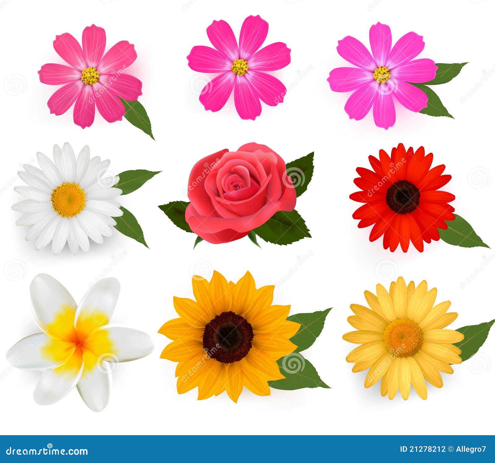 Conjunto Grande De Flores Coloridas Hermosas. Ilustración del Vector -  Ilustración de hoja, detalle: 21278212