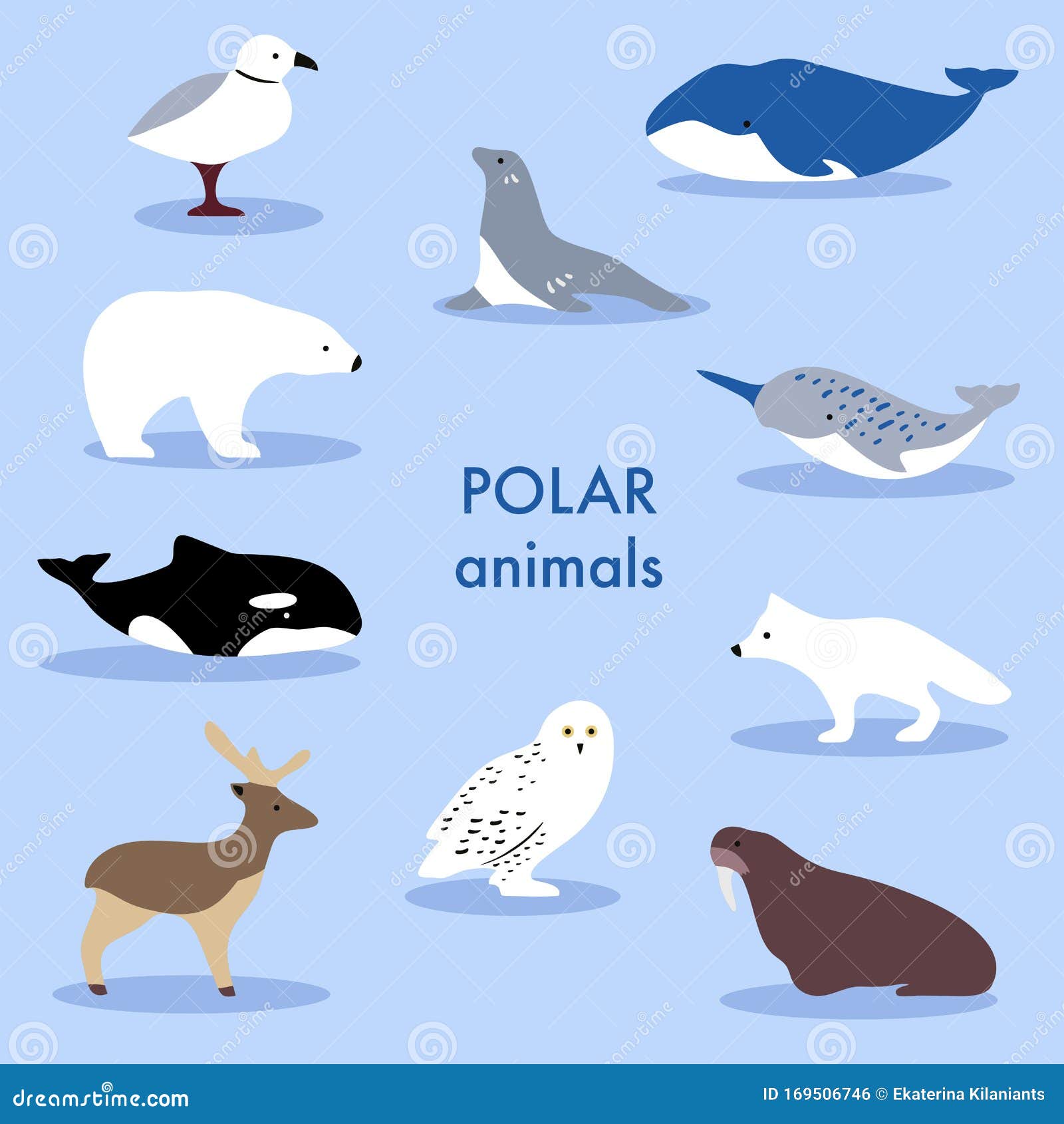 Conjunto Simple De Animales Polares Ilustración del Vector - Ilustración de  plano, fauna: 169506746
