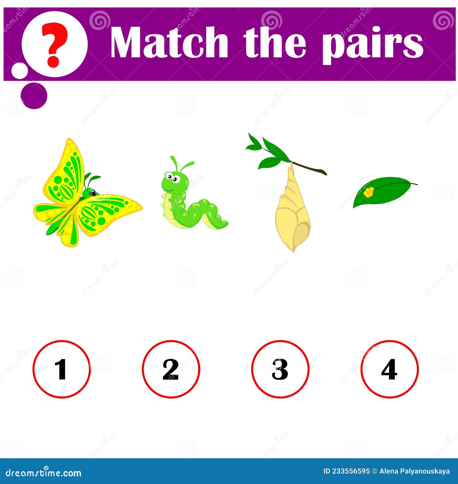 Determine the Correct Loop Order. Butterfly Development. Educational