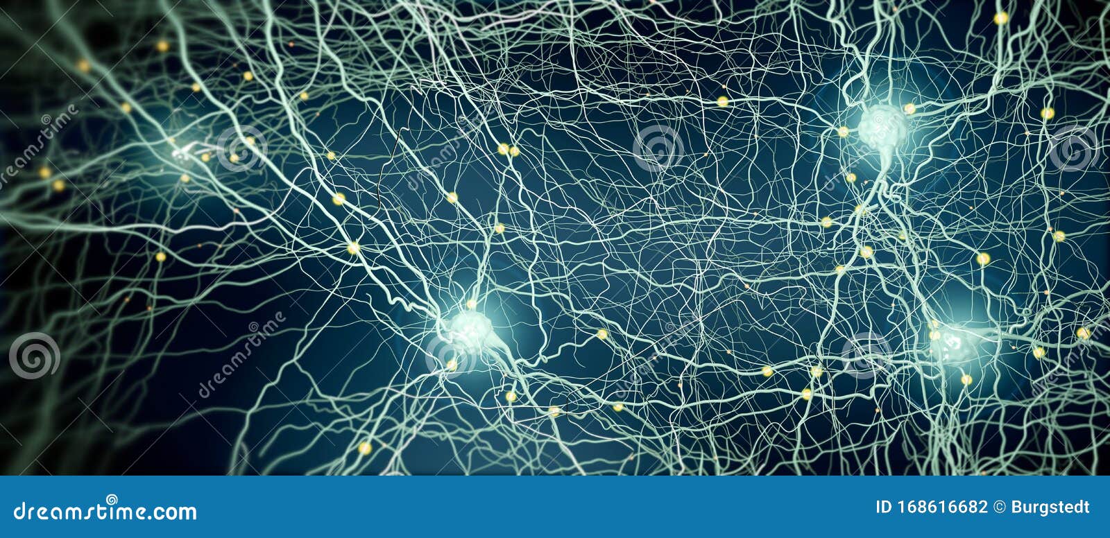 Connected Neurons or Nerve Cells Stock Illustration Illustration of