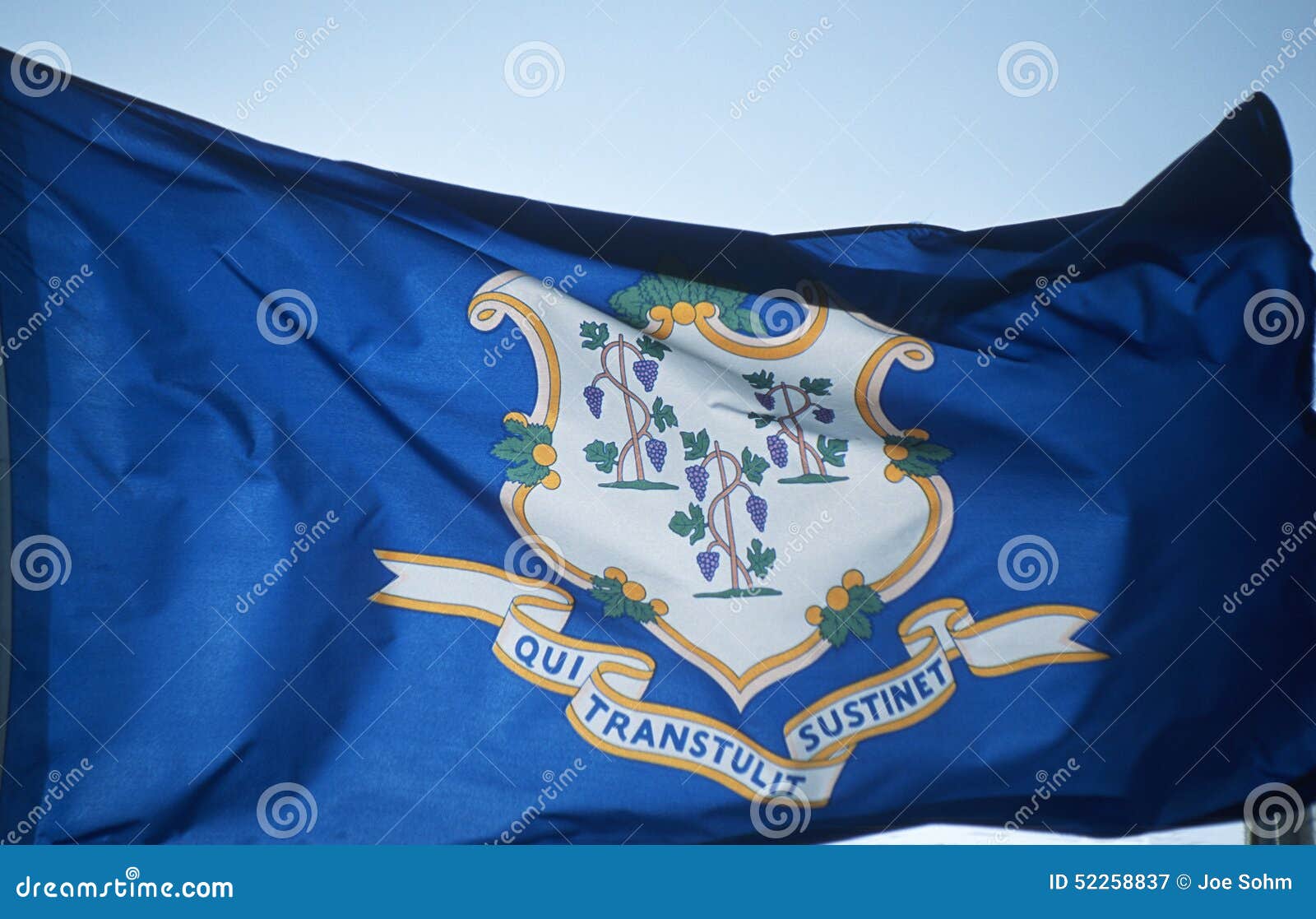 Connecticut państwa bandery