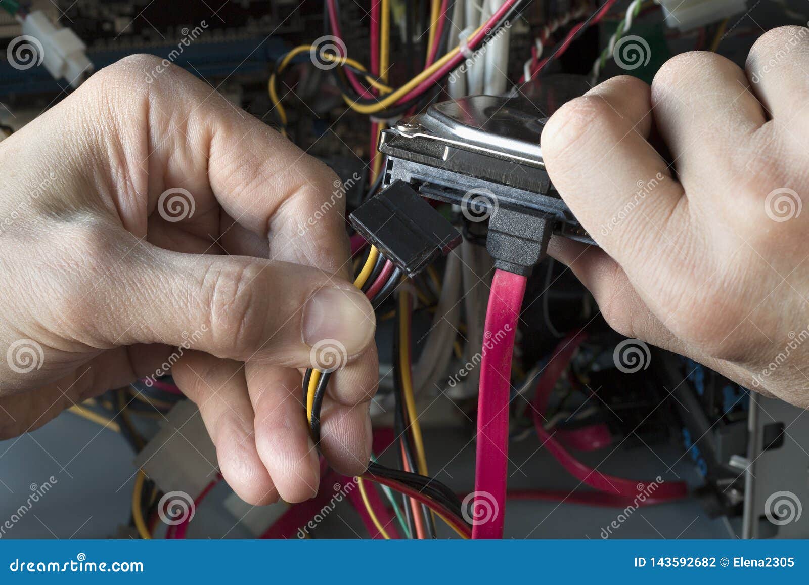 Connection HHD. a Man Repairs Desktop PC Stock Photo Image of plug