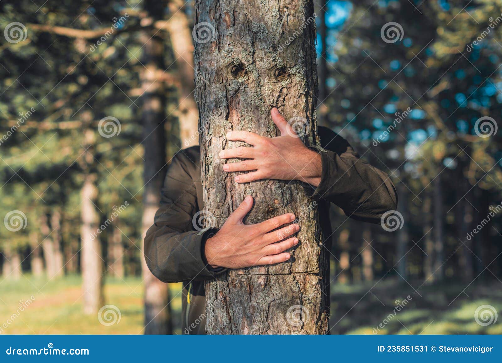 conservation scientist hugging tree black pine tree in forest, love and dedication to environment