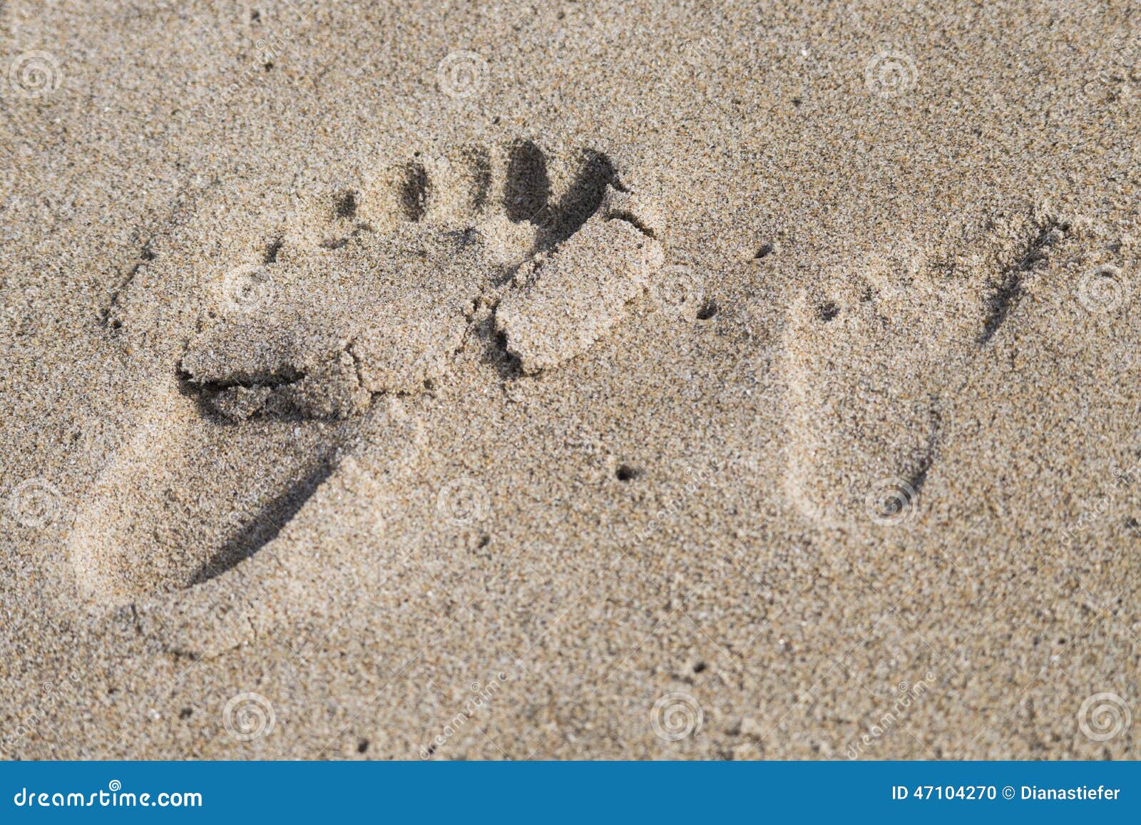 Rat Footprints Stock Photos Free & RoyaltyFree Stock Photos from