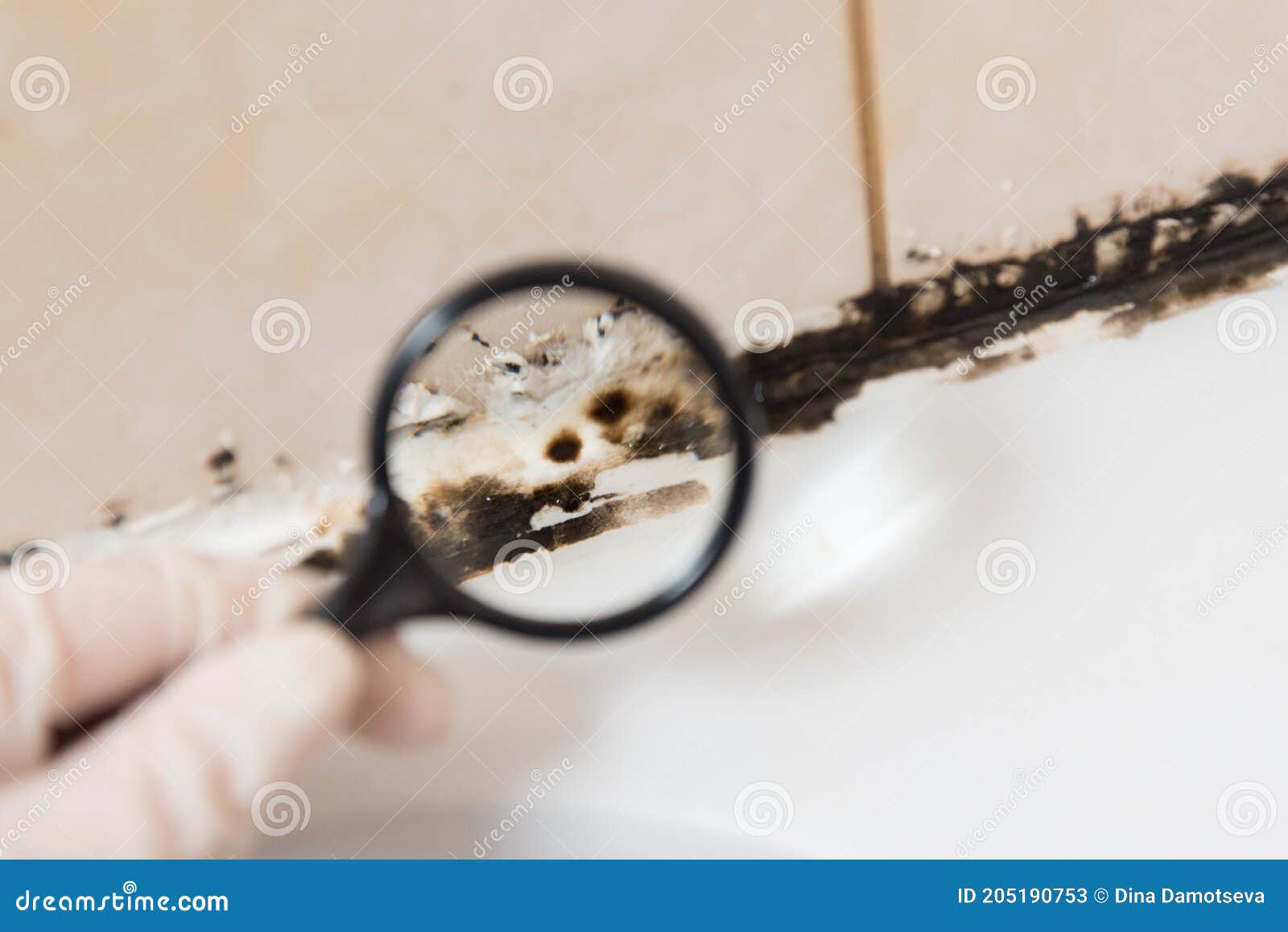 Mould in the bottom of a cup Stock Photo - Alamy