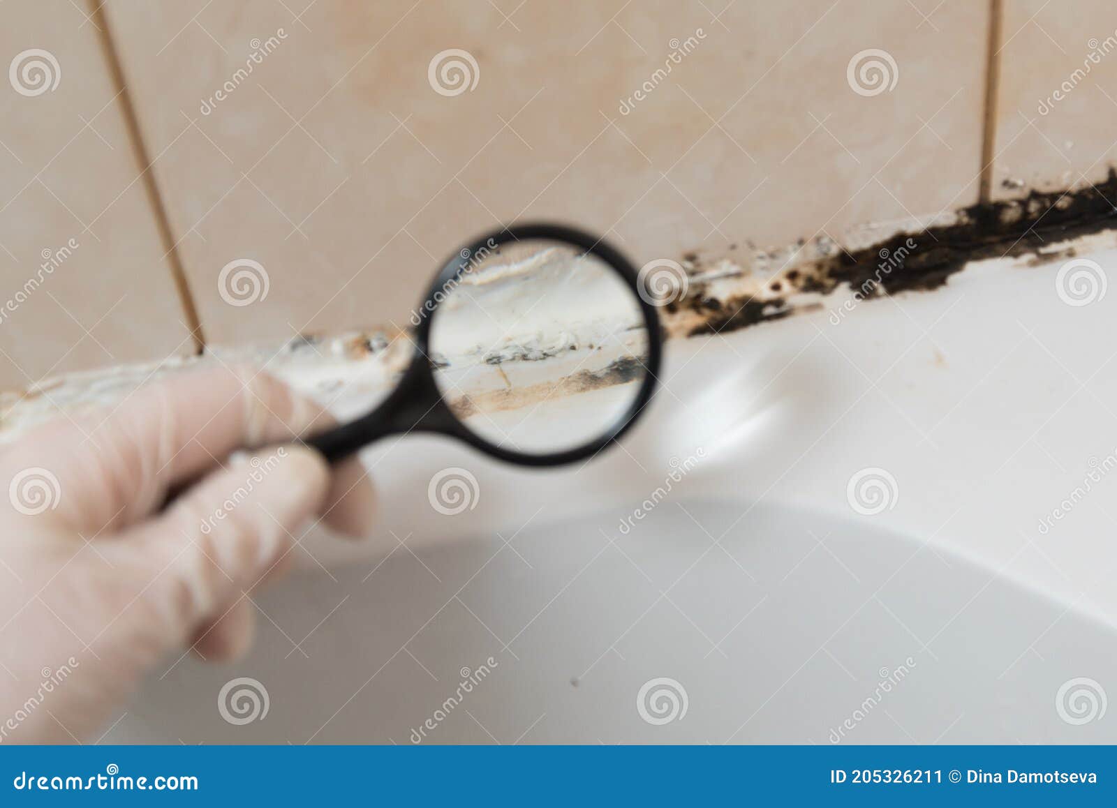 We Consider the Mold Under a Magnifying Glass. in the Bathroom, a Black
