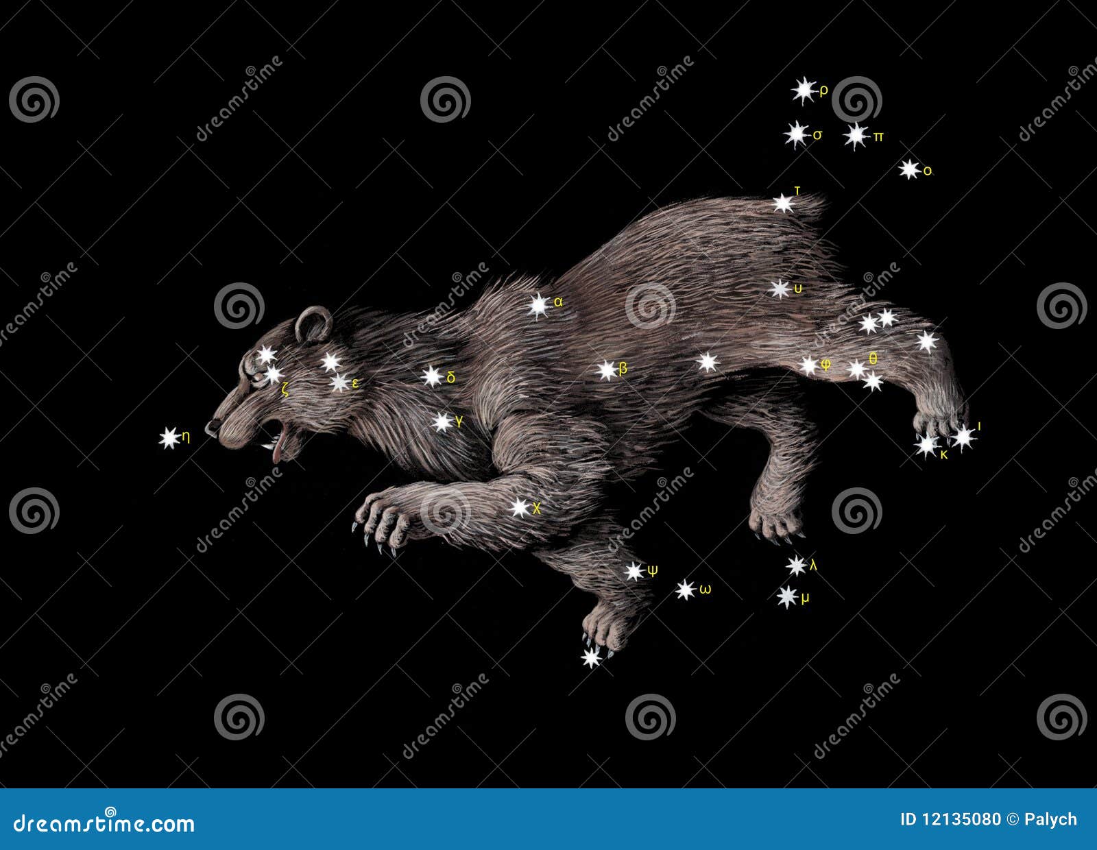 constellation the great bear