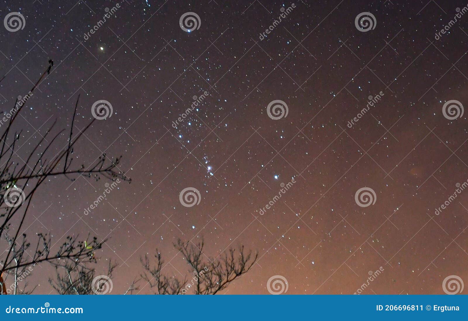 the constellation of orion