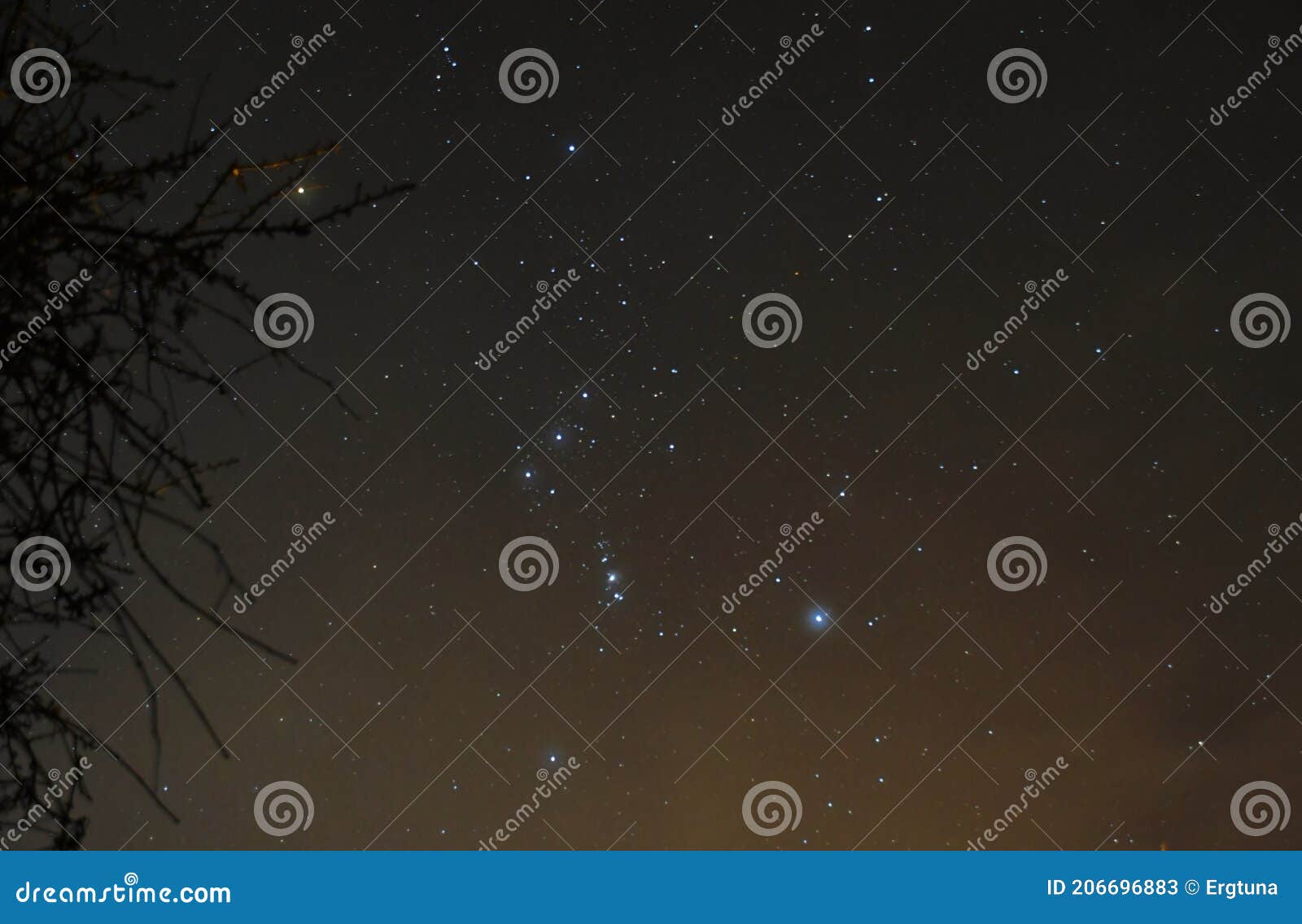 the constellation of orion