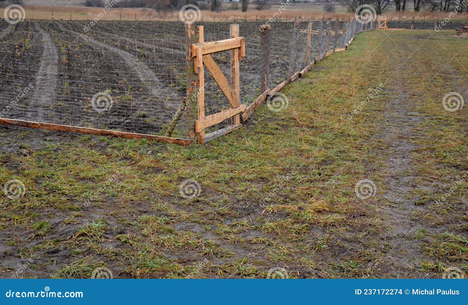 Acostumbrados a Memorándum partes Construcción De Vallas Forestales a Partir De Mallas Económicas Y Tuberías  De Metal Galvanizado. Protege Los Sitios De Siembra De Foto de archivo -  Imagen de galvanizado, mordaz: 237172274