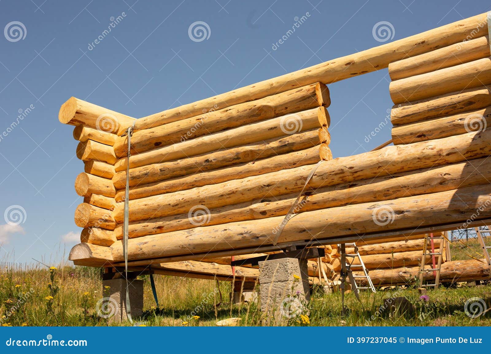 Two DIYers built this off-grid micro-cabin from repurposed steel and  recycled building material for almost no cost! - Yanko Design, image size:1600x1156