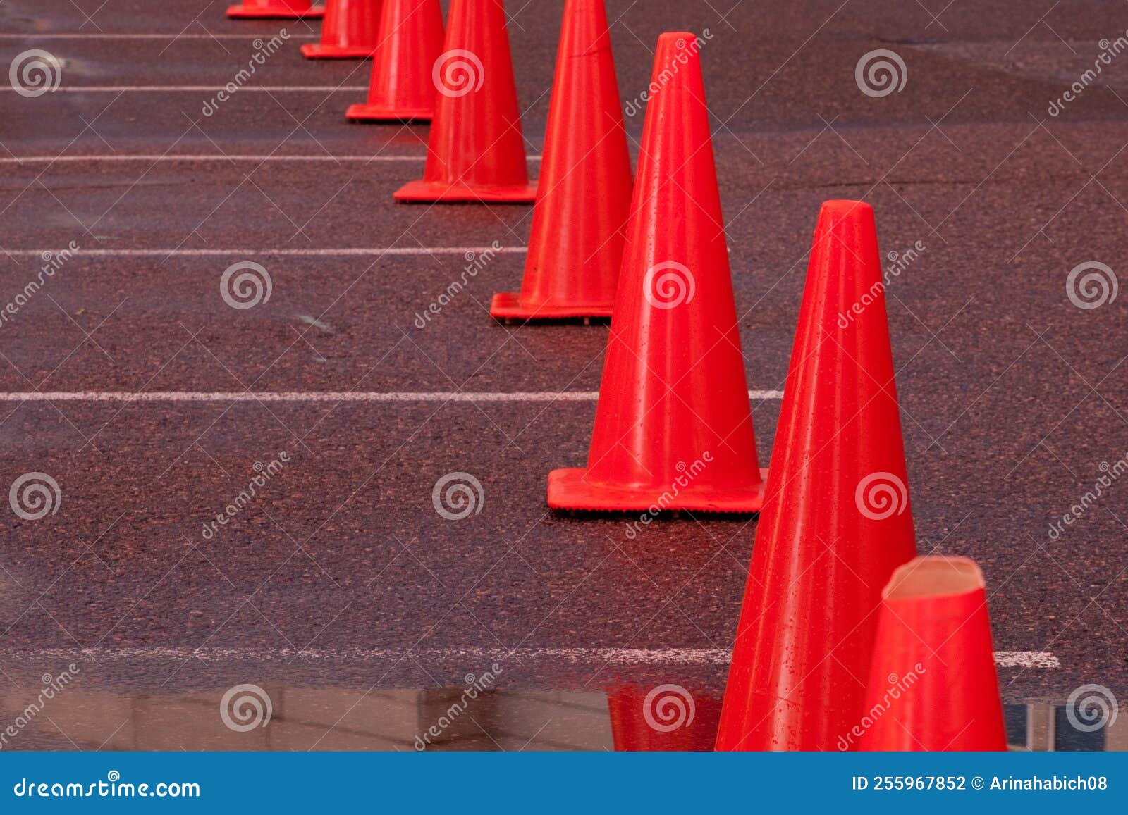 Construction cone stock photo. Image of orange, nature 255967852