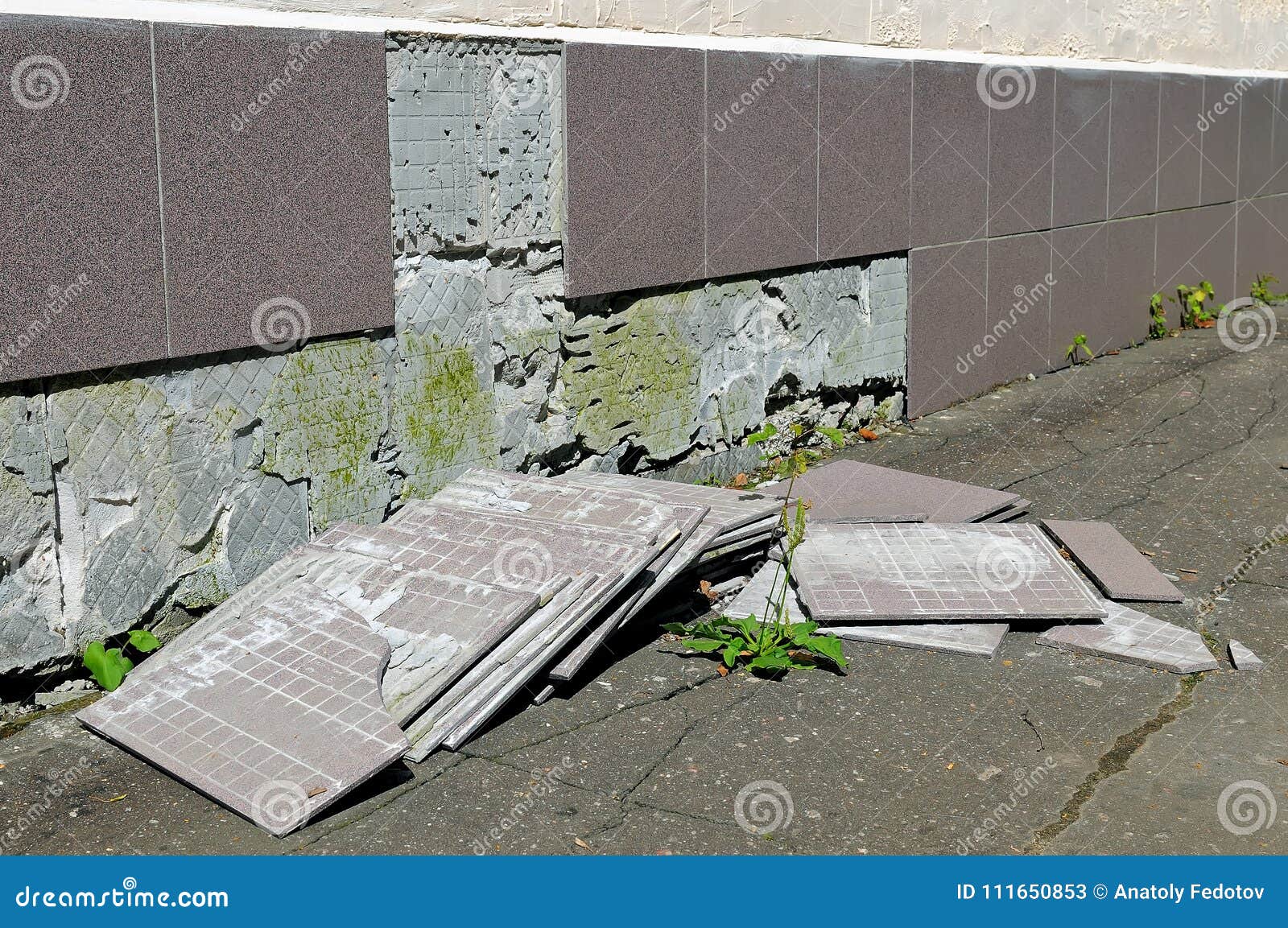 Construction Defect Tiles Has Fallen from a Wall Stock Image Image