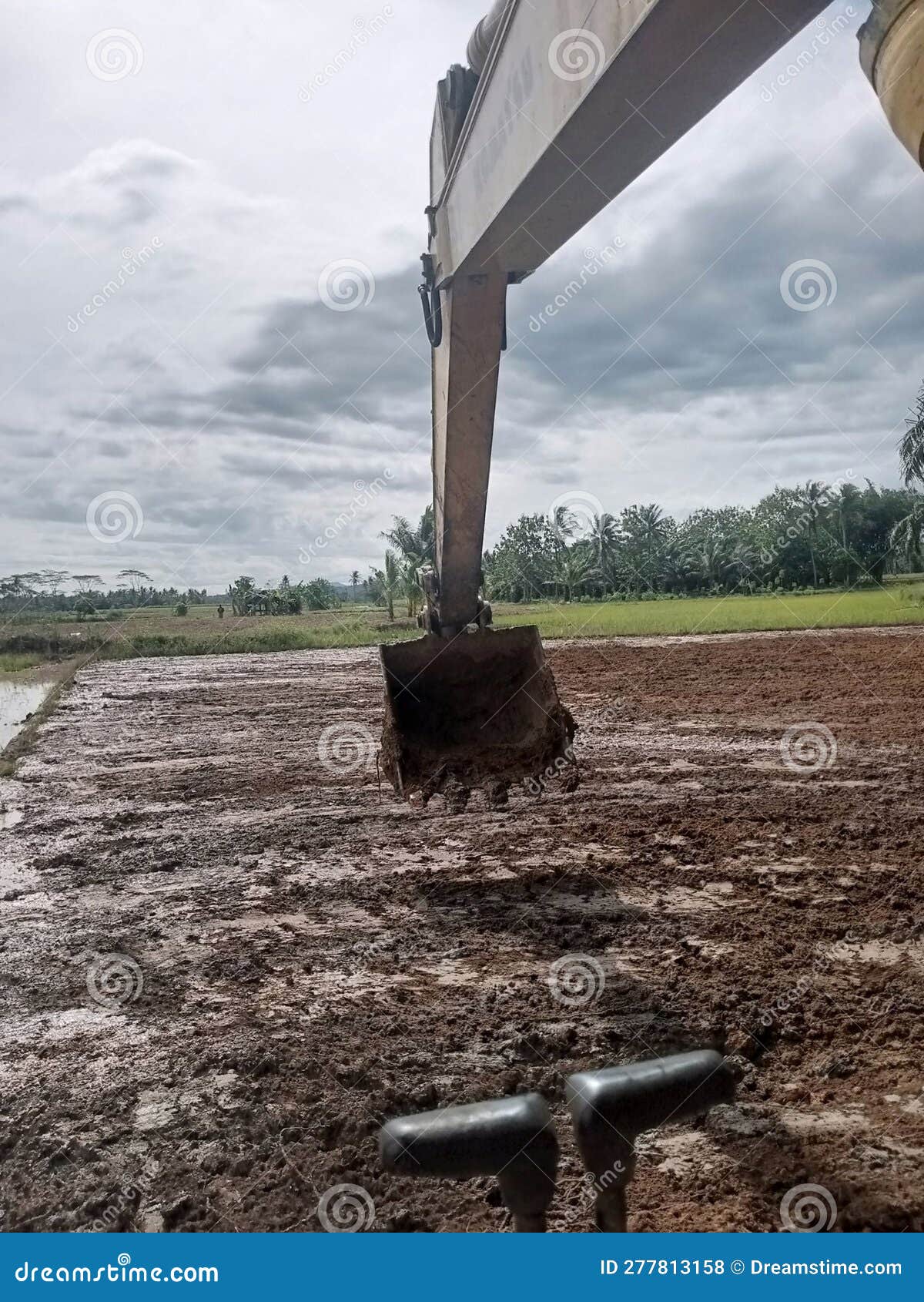 Construction of Heavy Equipment Paddy Fields in Mud Fields Stock Photo